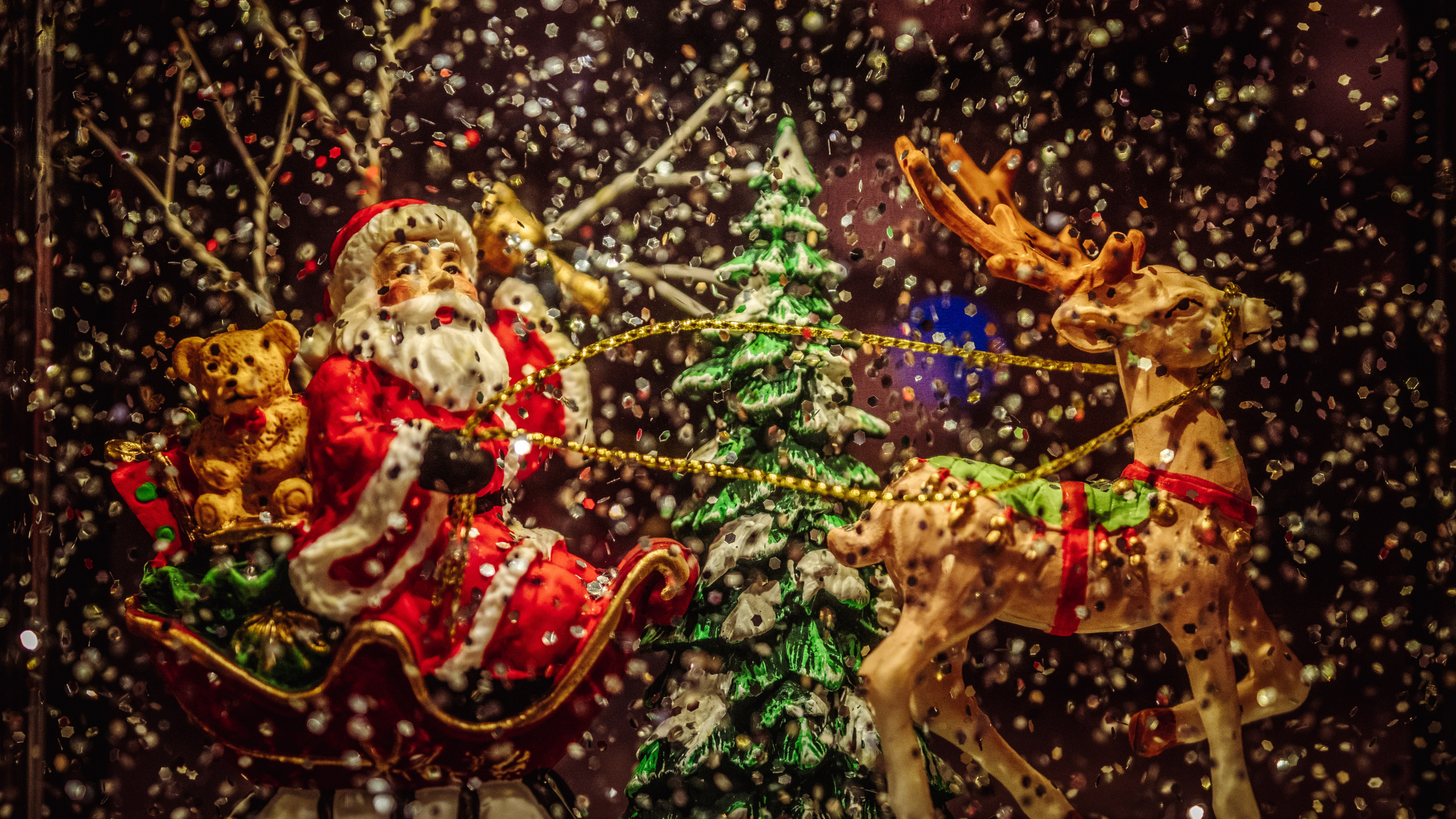 Wallpaper Christmas Day, Santa Claus, Christmas Lights, Christmas, Tree