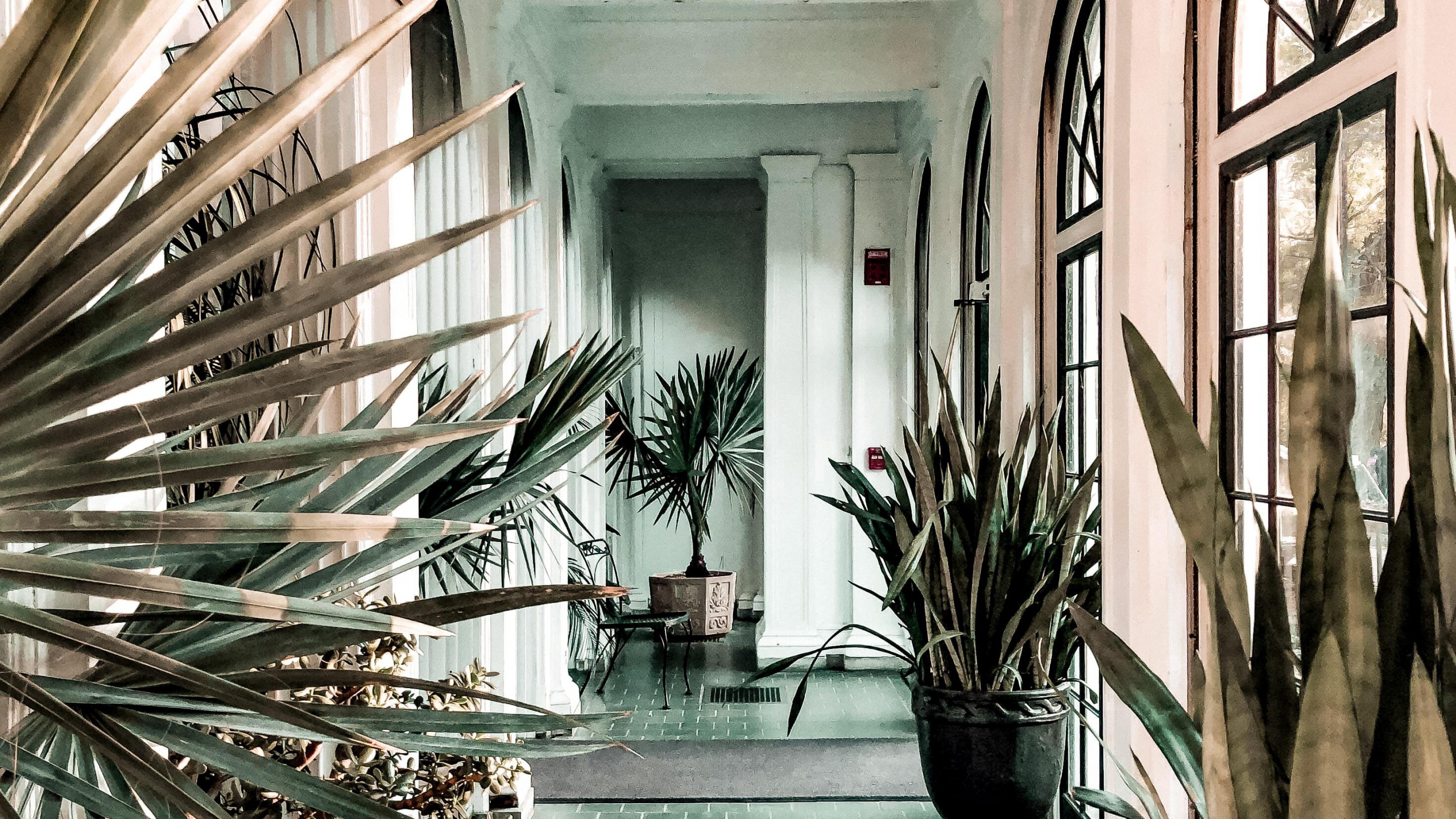 Wallpaper Interior Design, Plant, Property, Picture Frame, Light, WQHD ...
