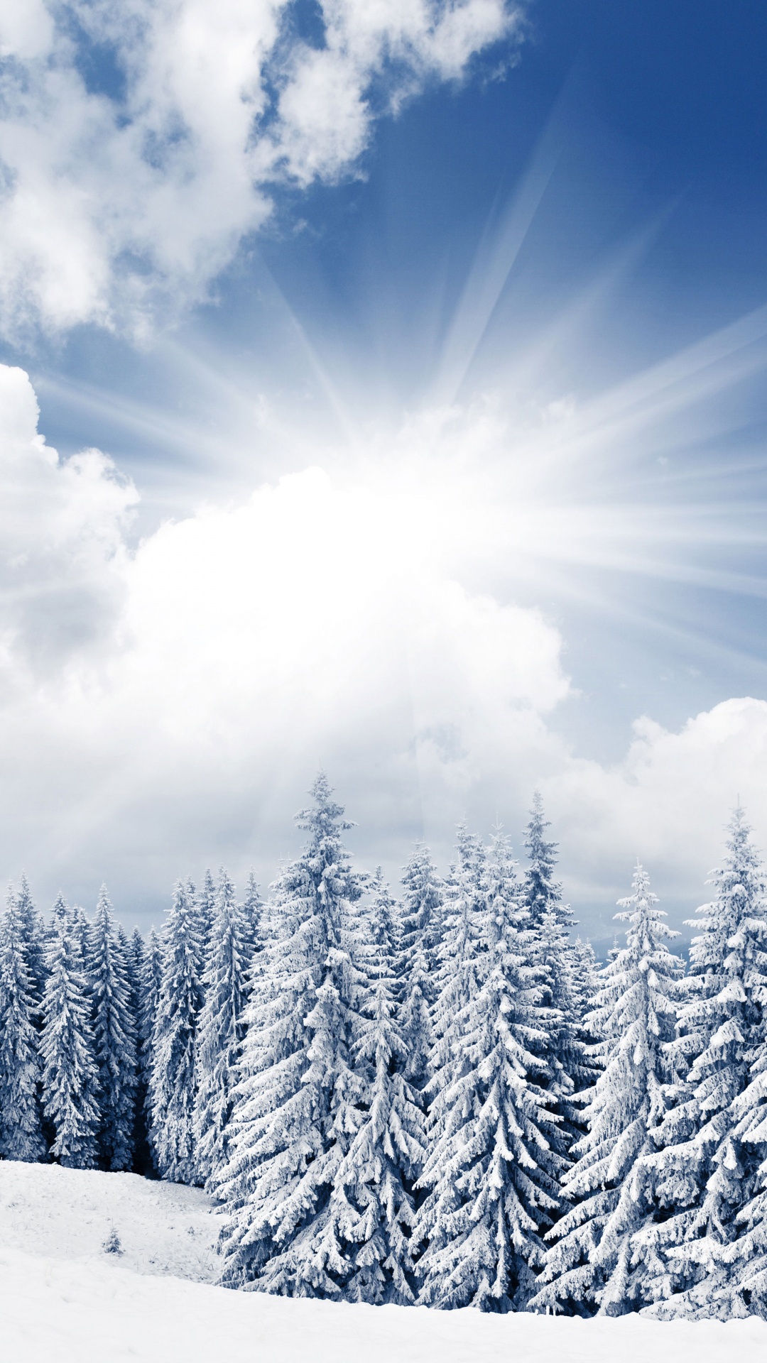 Snow Covered Pine Trees Under Blue Sky and White Clouds During Daytime ...