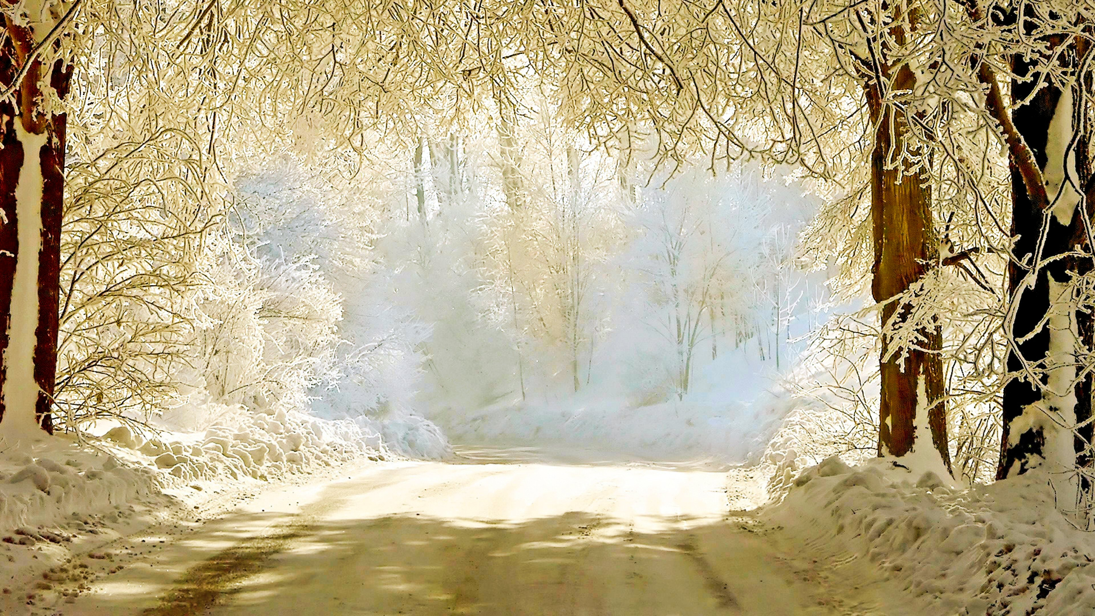 Wallpaper Snow Covered Trees During Daytime, 4K Ultra HD Background ...
