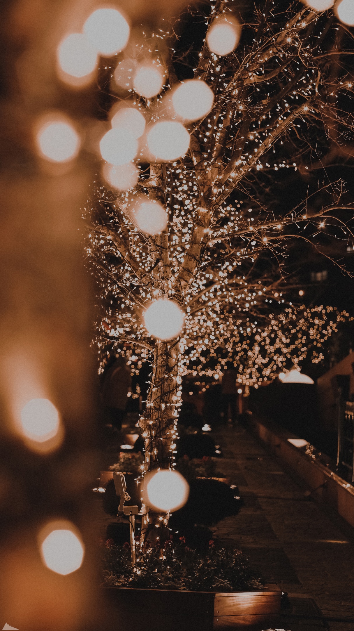 christmas lights at night wallpaper