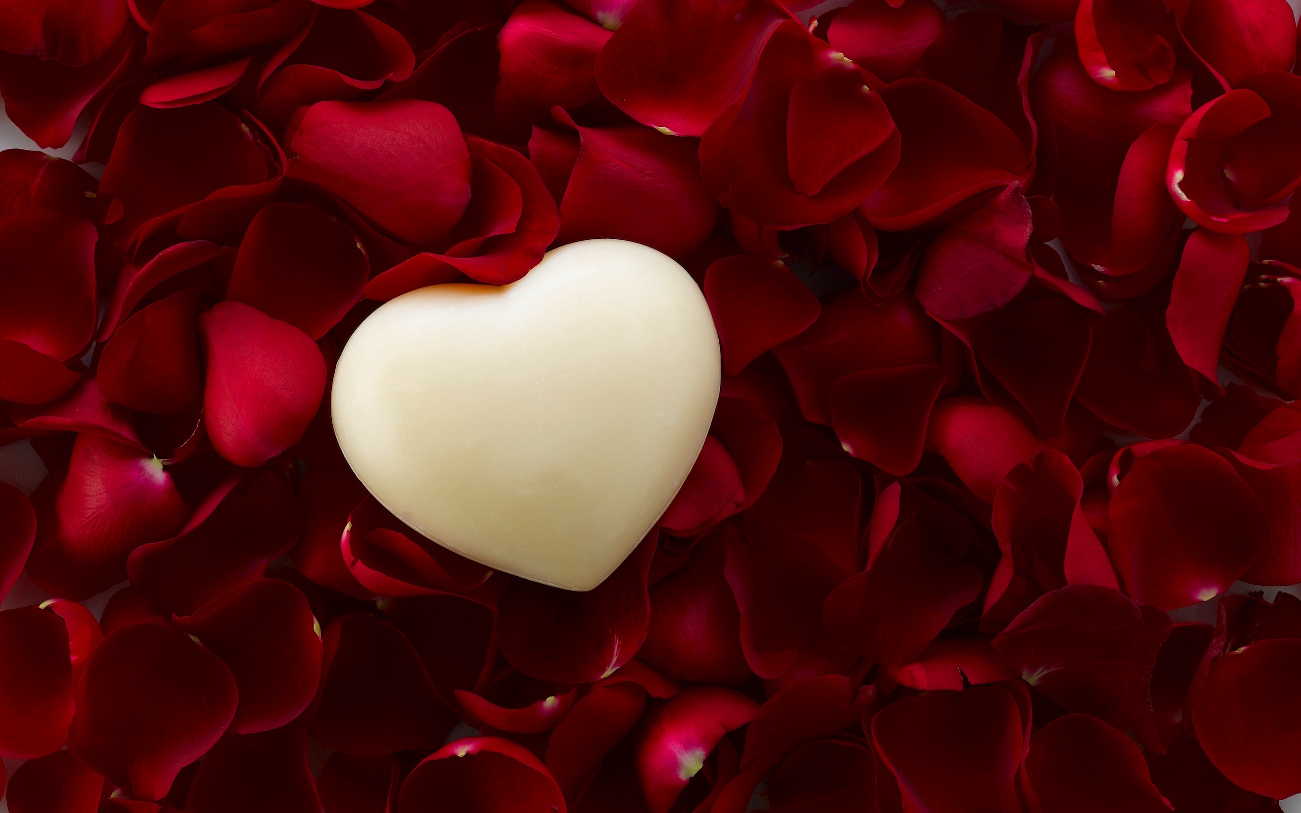  Kostenlose Hintergrundbilder Herzen, Blütenblatt, Valentines Tag, Liebe 