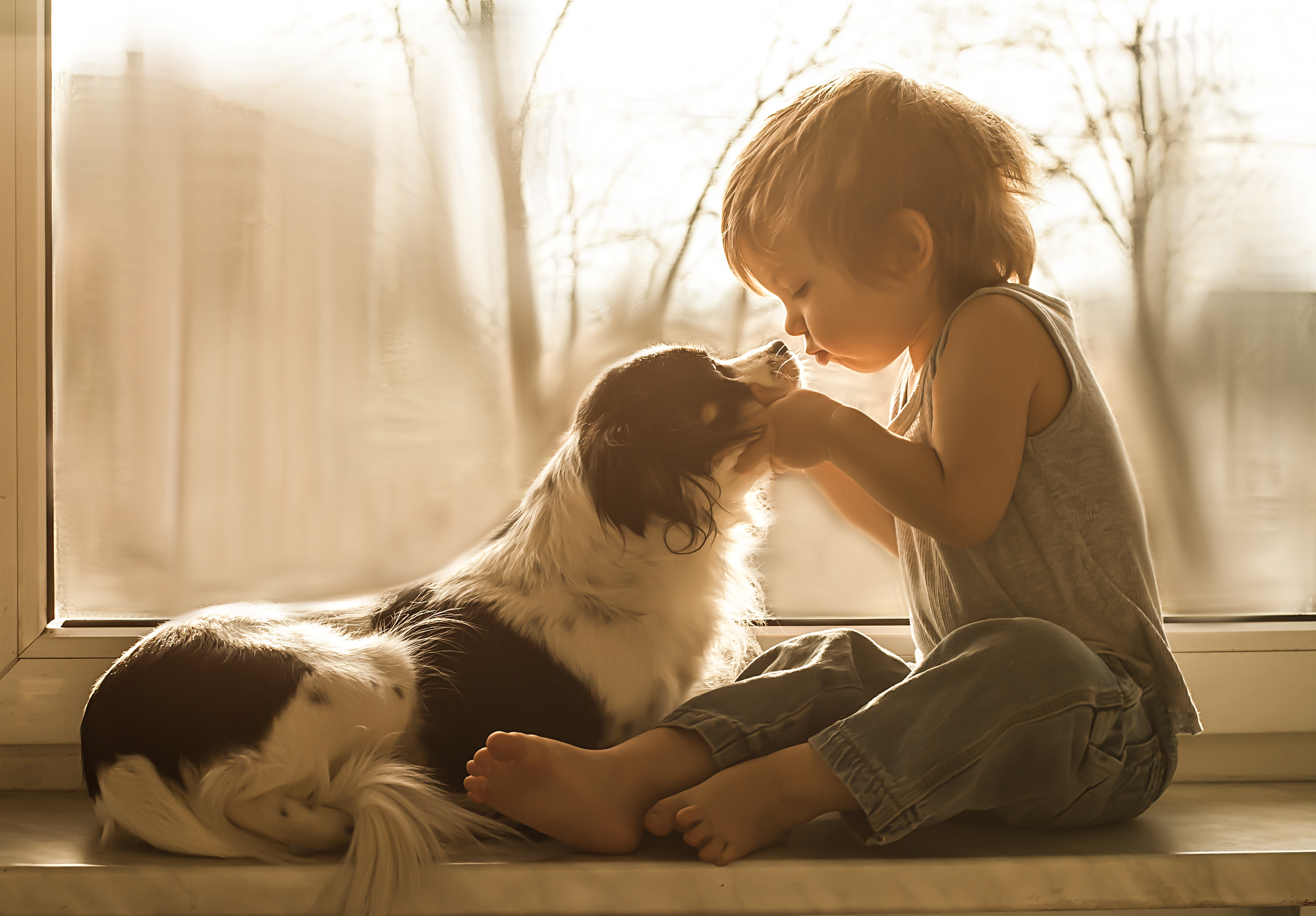 Трогательный мир. Мальчик обнимает собаку. Любовь детей и животных. Собака для детей. Для детей. Животные.