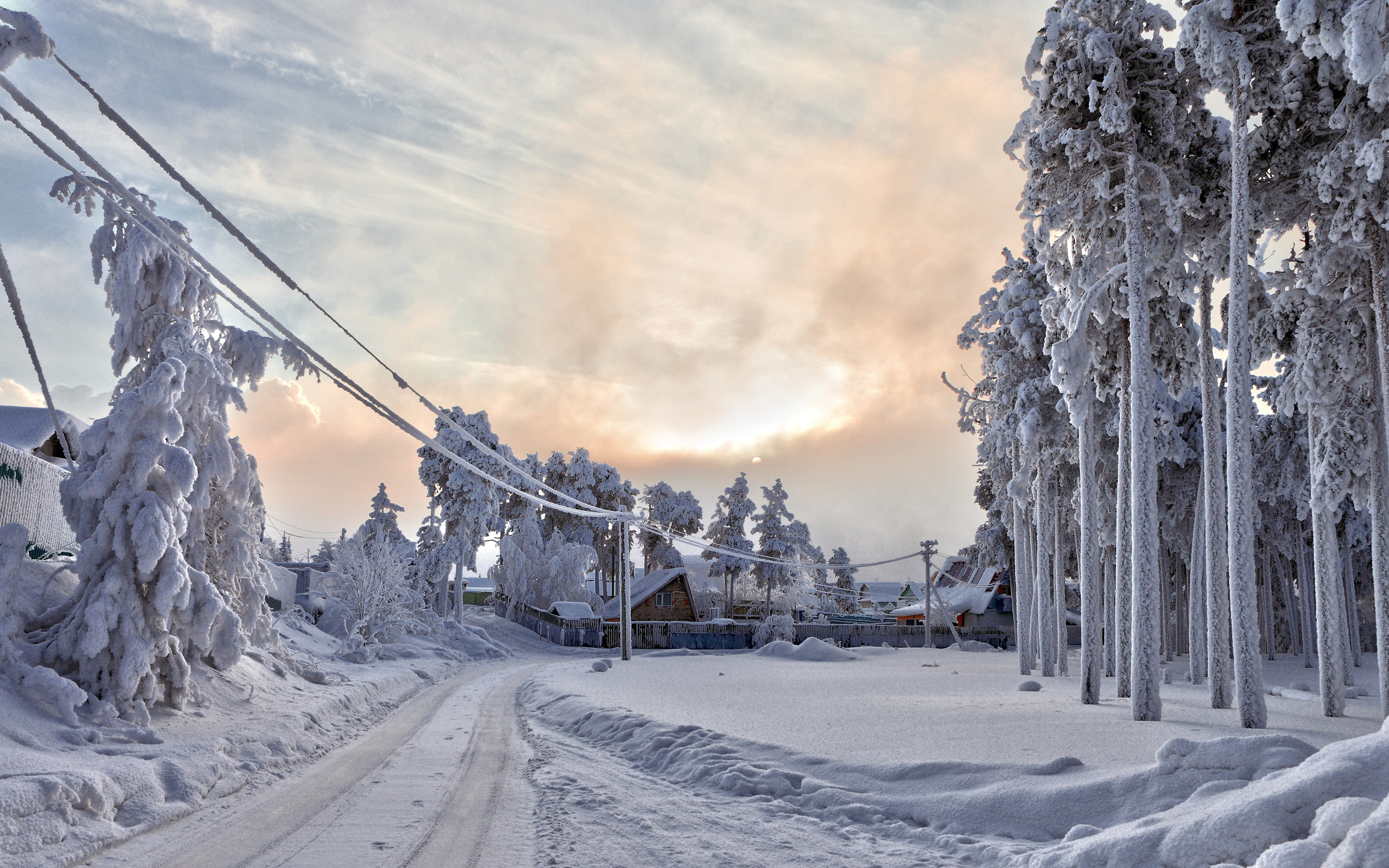 Wallpaper Snow Covered Trees Under Cloudy Sky During Daytime ...