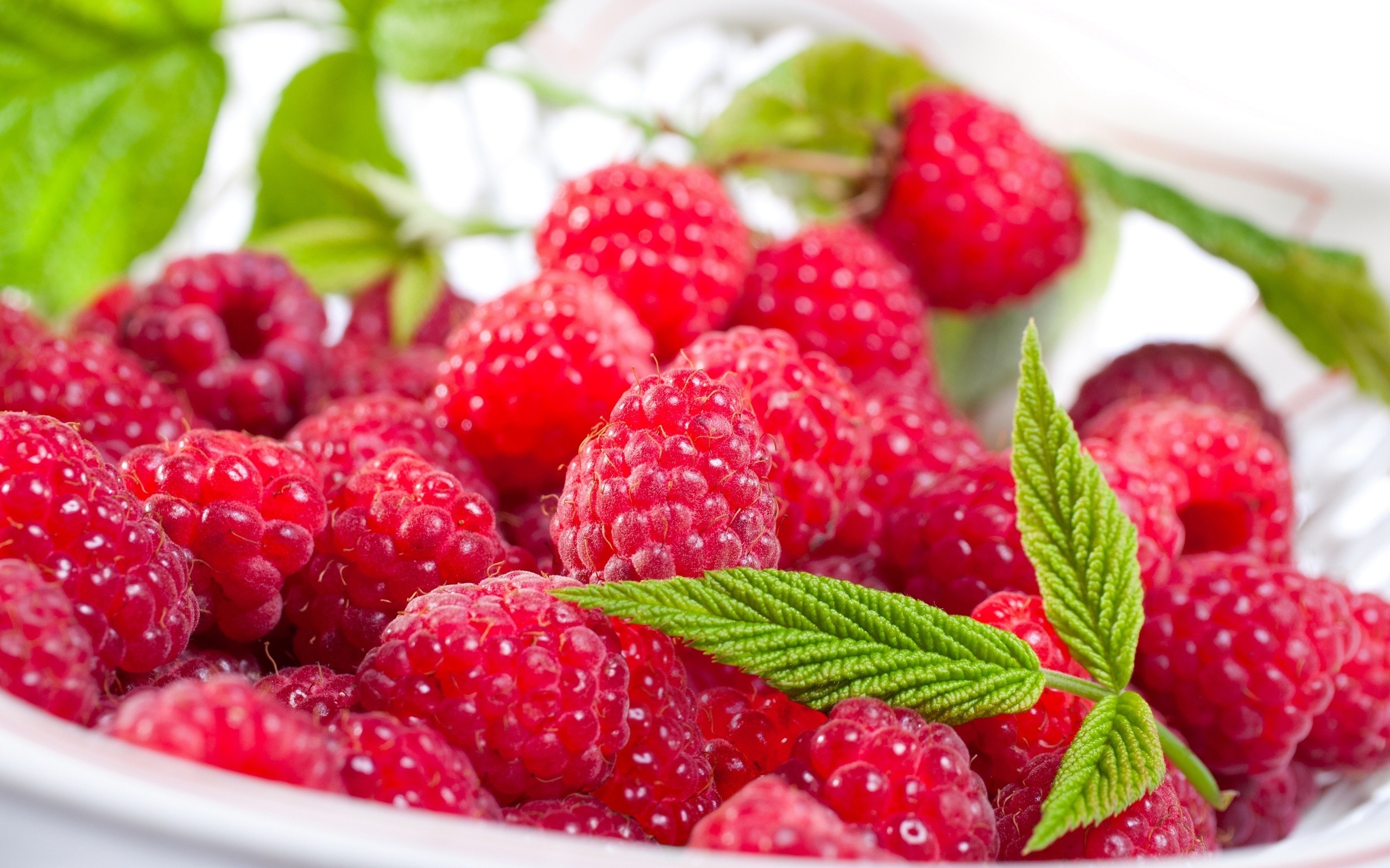 Fondos de Pantalla Fresas Rojas en Cuenco de Cerámica Blanca, Imágenes