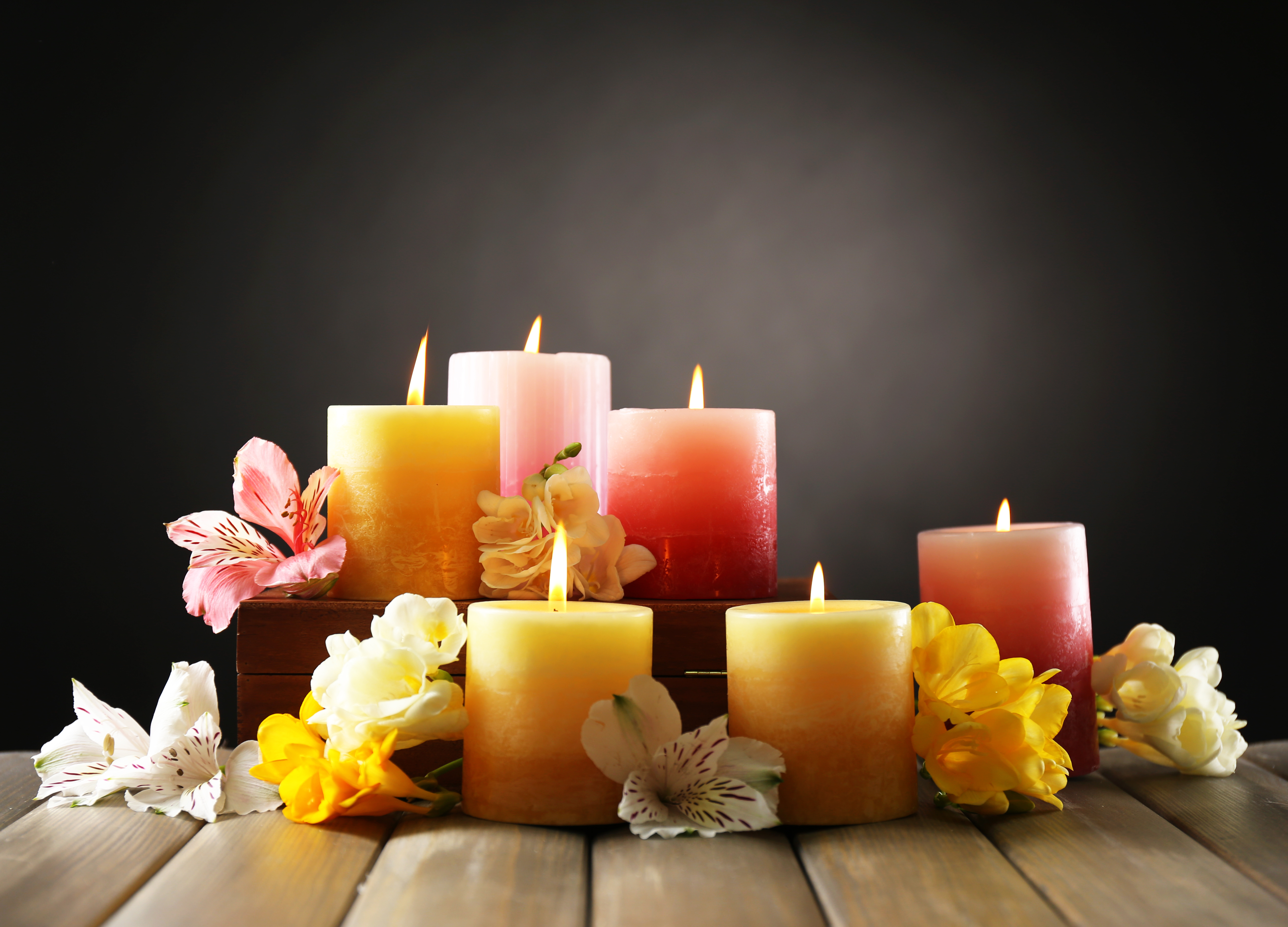 Beautiful Flower For You: Flowers Candle, White Candles HD wallpaper |  Pxfuel
