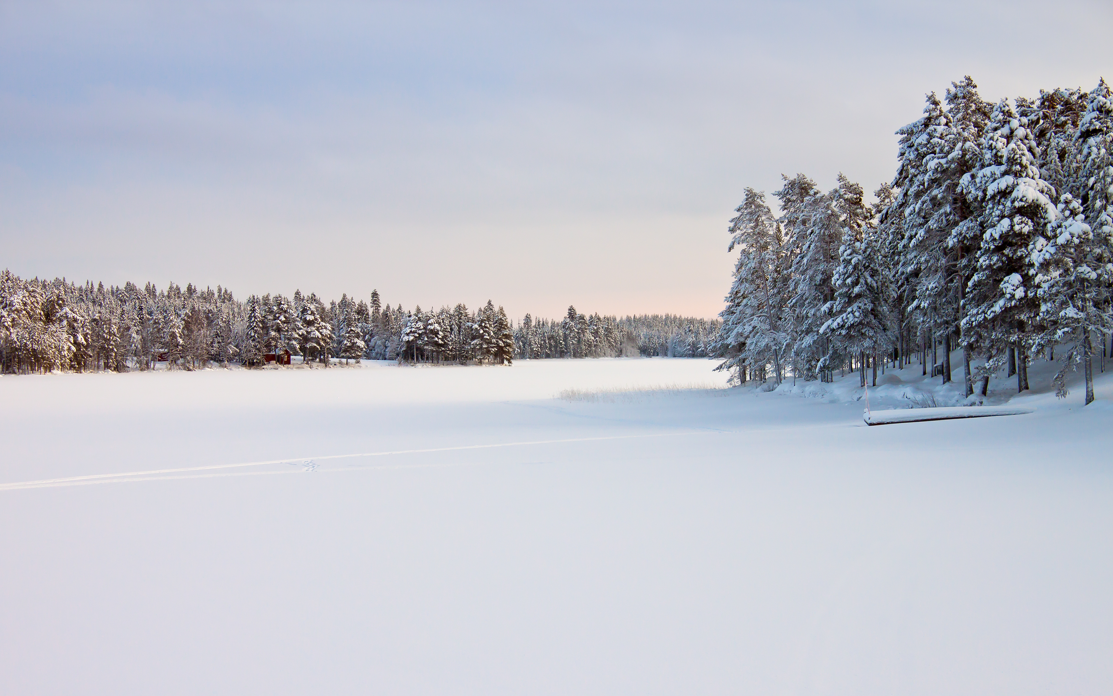 Winter grind. Зимняя панорама. Панорама зимнего леса. Зимний лес панорама. Зимний лес издалека.