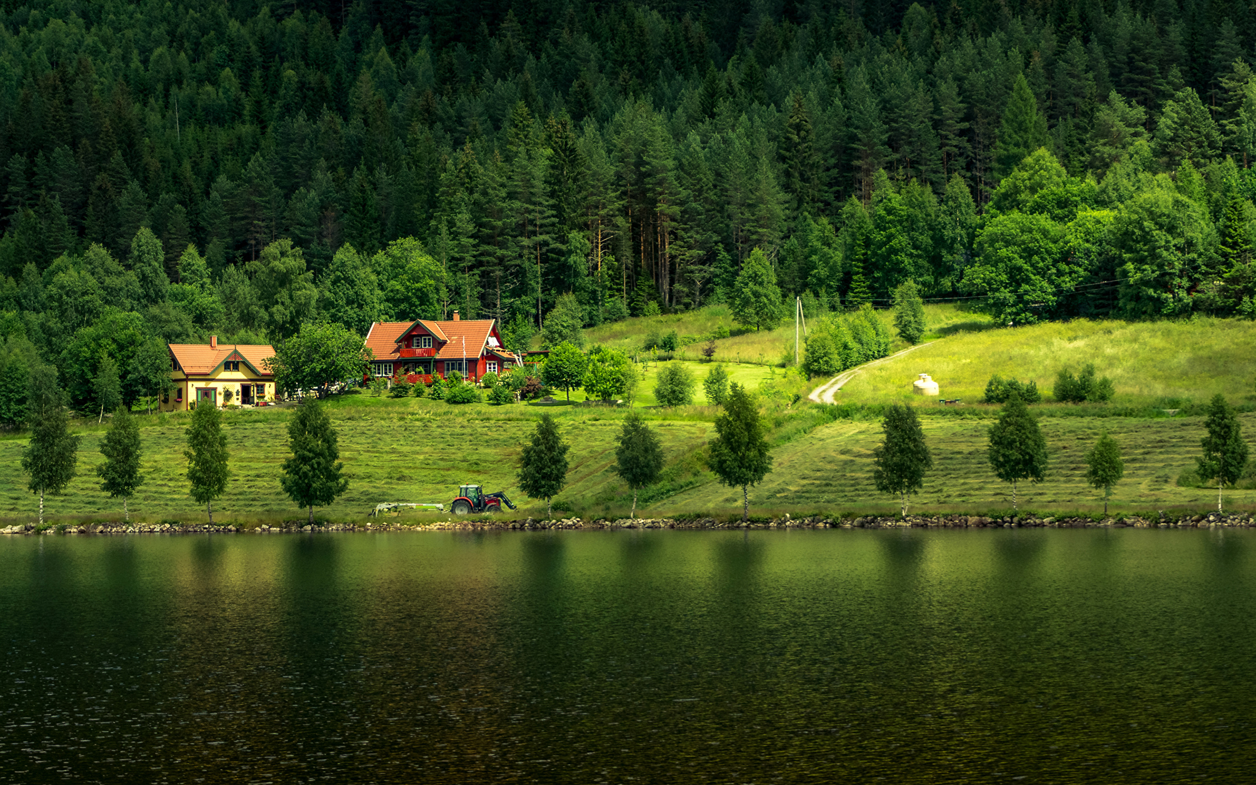 Дача рядом с водой. Фахверк Швейцария горы озеро лес. Фахверк Швейцария горы озеро лес лето. Шварцвальд озеро. Дом в Норвегии в лесу у озера.