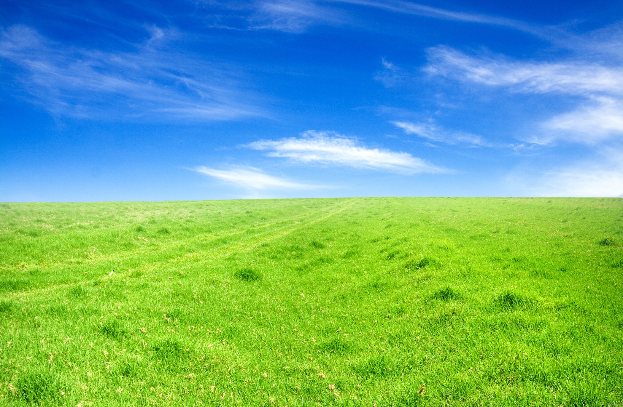 Fondos de Pantalla Campo de Hierba Verde Bajo un Cielo Azul Durante el