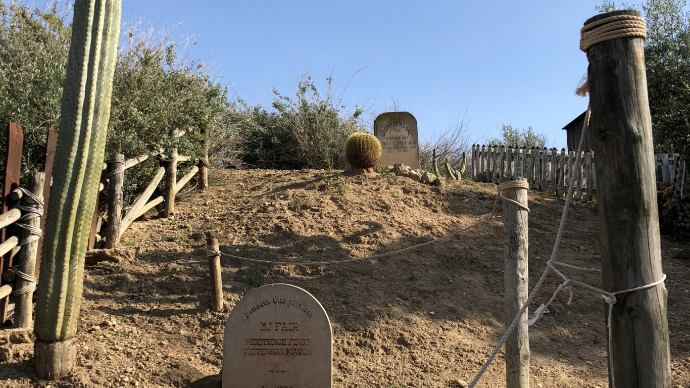 Arbustos, Biología, Ciencia, la Comunidad Vegetal, Suelo. Wallpaper in 1366x768 Resolution