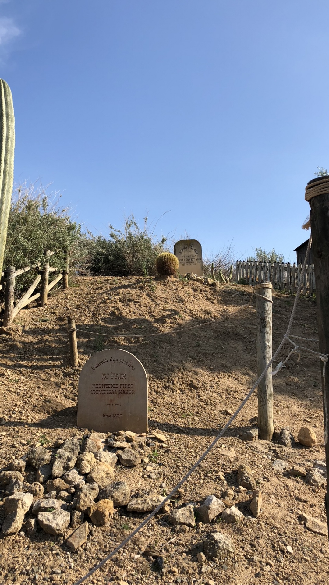 Heideflächen, Biologie, Wissenschaft, Pflanzen-Gemeinschaft, Boden. Wallpaper in 1080x1920 Resolution