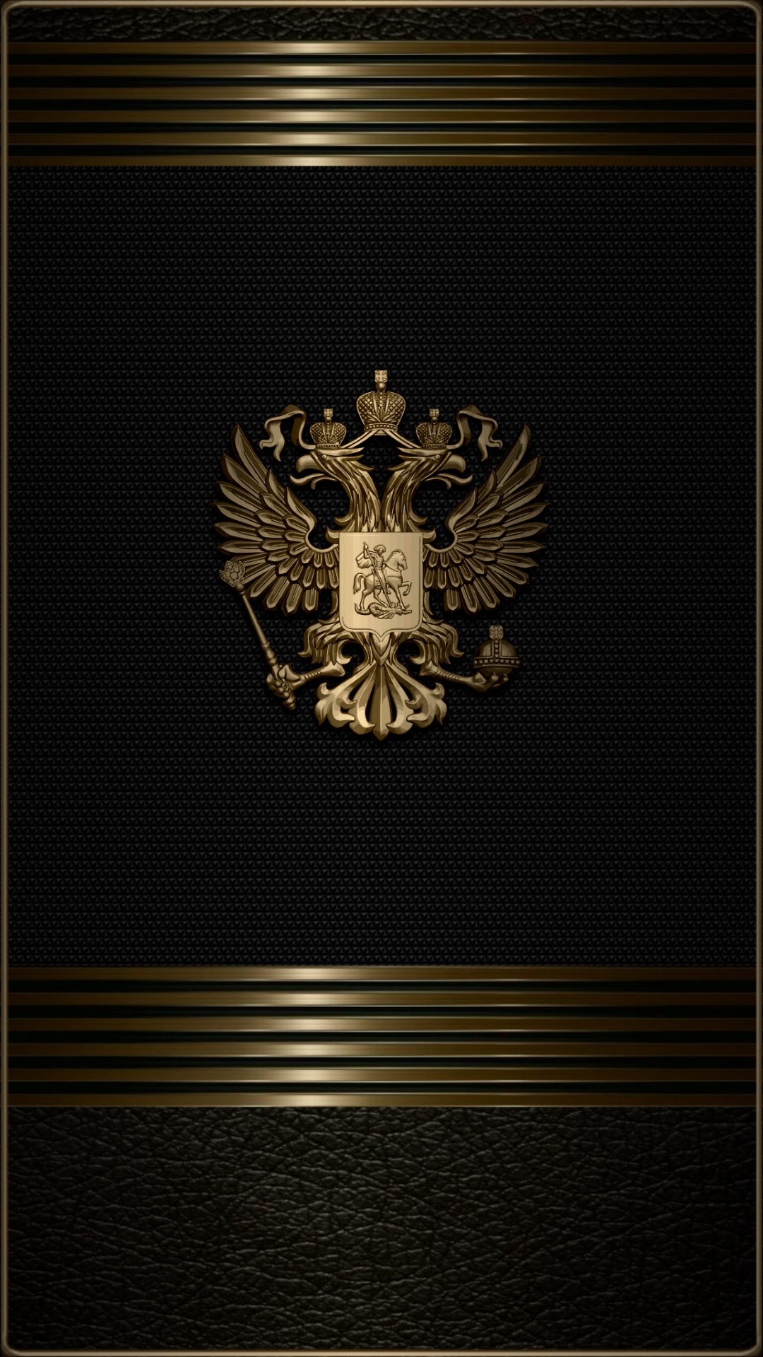 Patrón, Ave de Presa, Accipitriformes, Simbolo, Emblema. Wallpaper in 1080x1920 Resolution