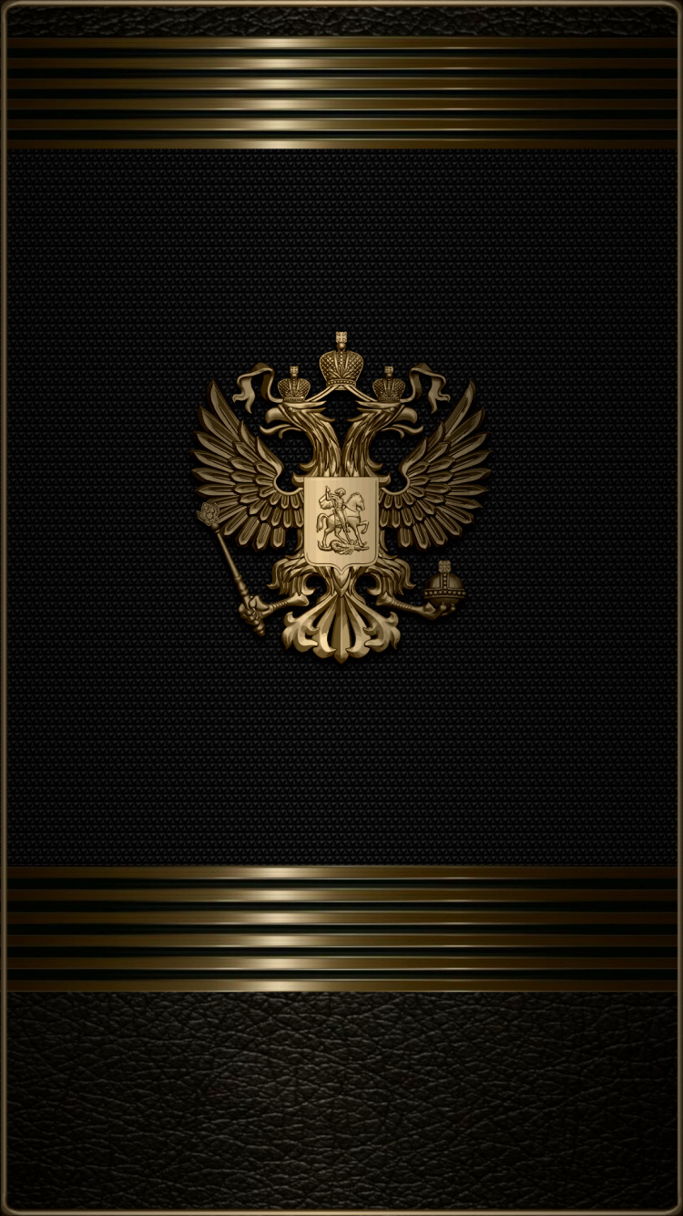 Patrón, Ave de Presa, Accipitriformes, Simbolo, Emblema. Wallpaper in 750x1334 Resolution