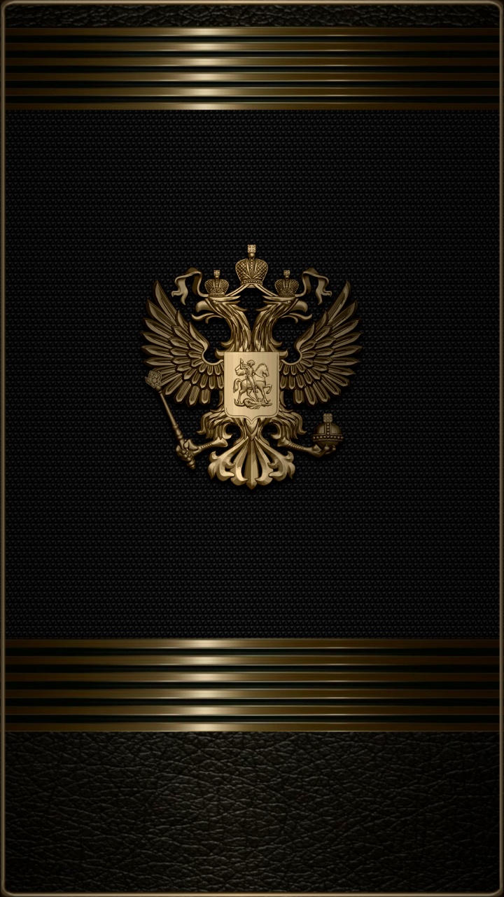 Pattern, Bird of Prey, Accipitriformes, Symbol, Emblem. Wallpaper in 720x1280 Resolution