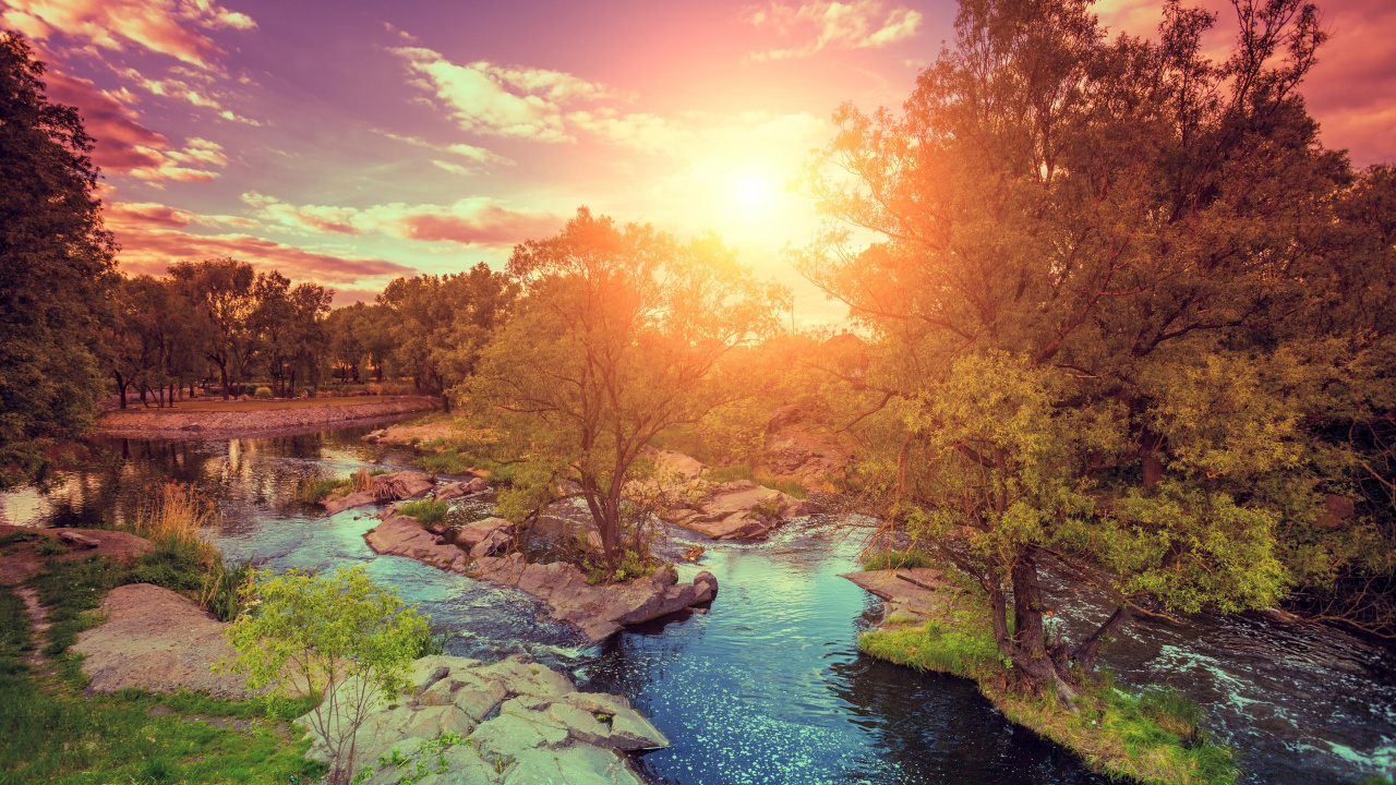 Sunset, Sunrise, Cloud, Water, Plant. Wallpaper in 1280x720 Resolution