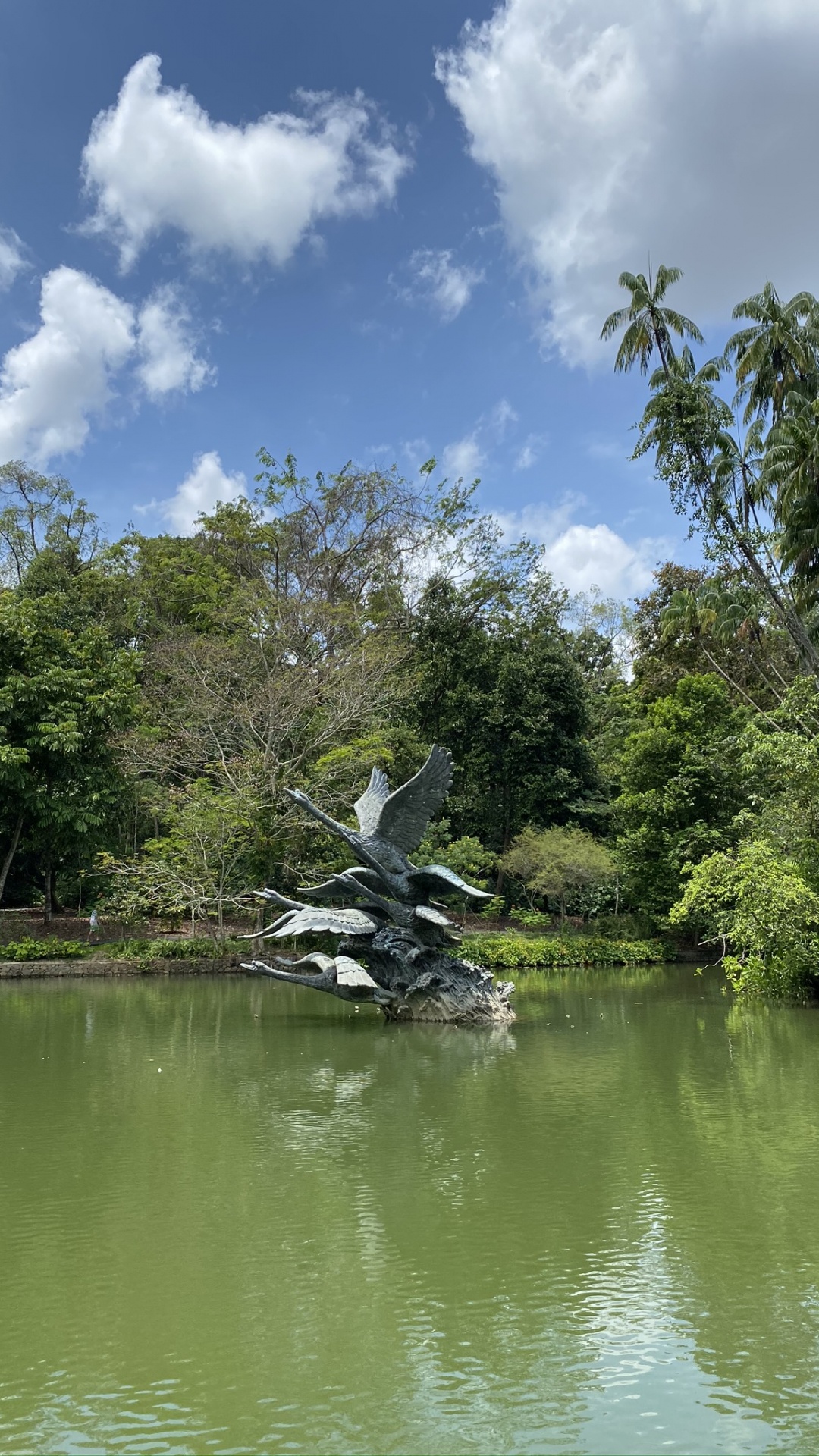 性质, 植被, 水资源, 自然景观, 银行 壁纸 1080x1920 允许