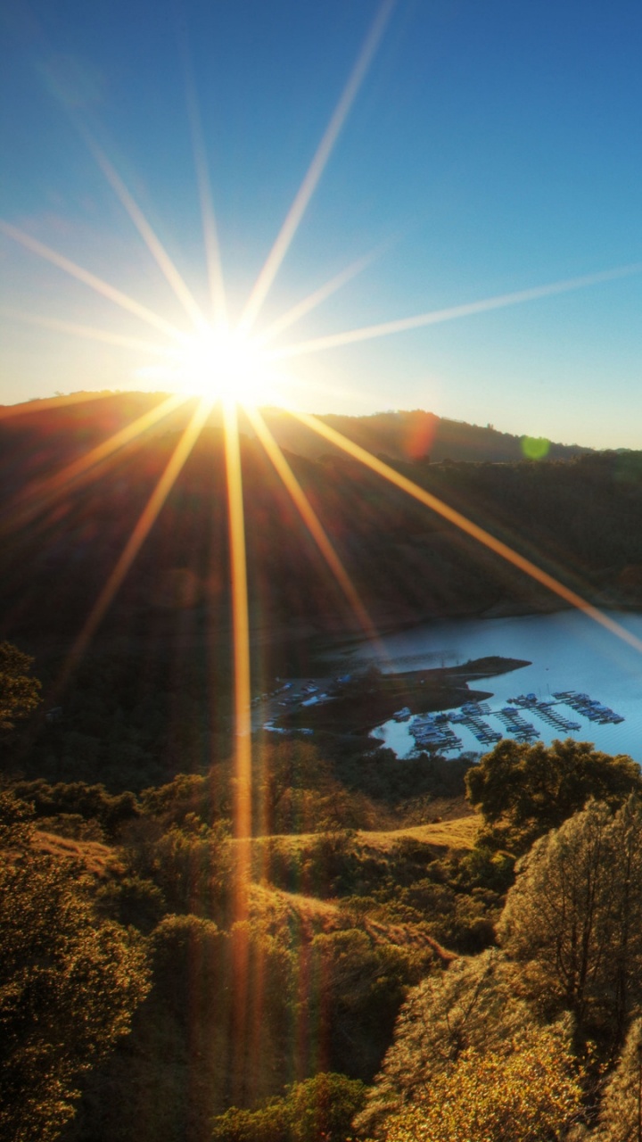 Tagsüber Grüne Und Braune Bäume in Der Nähe Des Sees. Wallpaper in 720x1280 Resolution