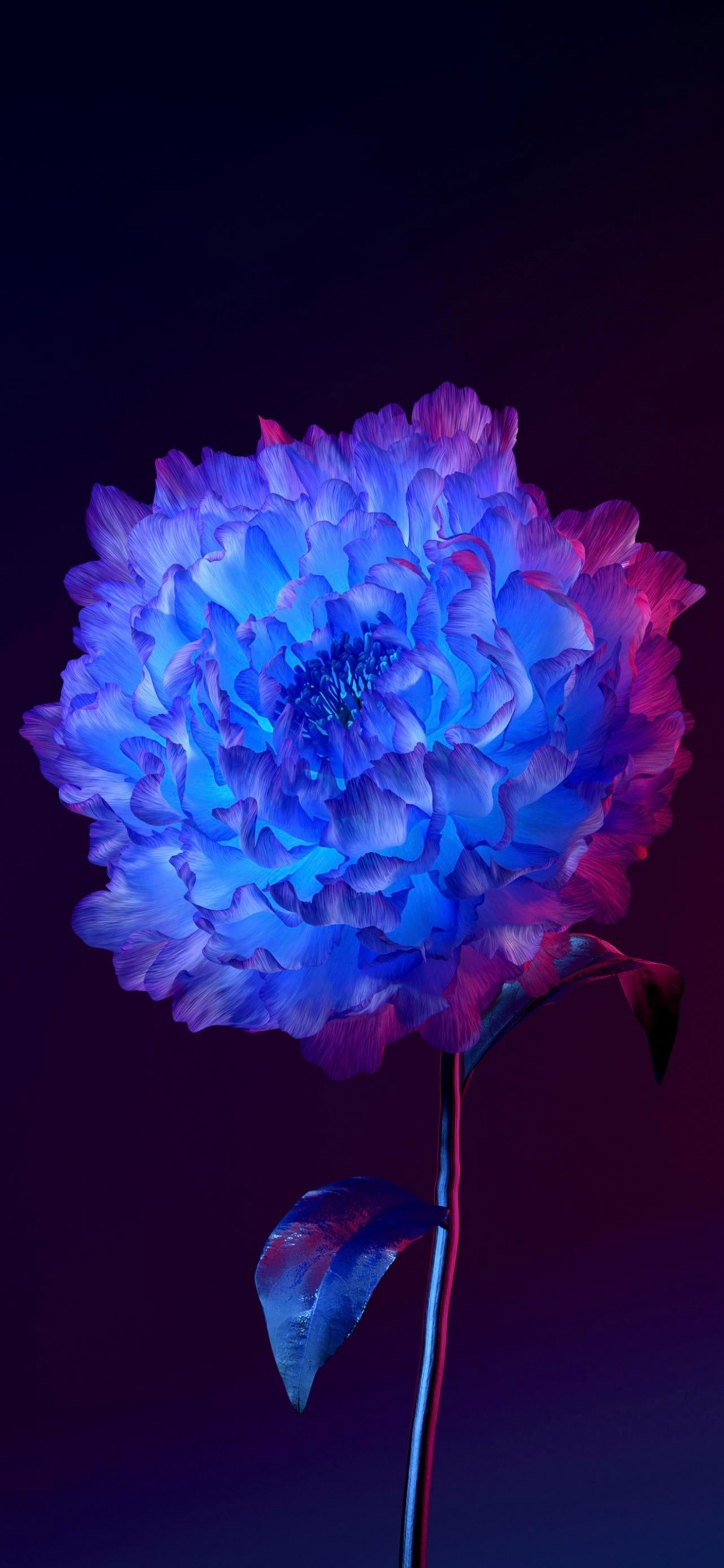 Vivo Origen Os, Android, Pétalo, Morado, Violeta. Wallpaper in 1242x2688 Resolution