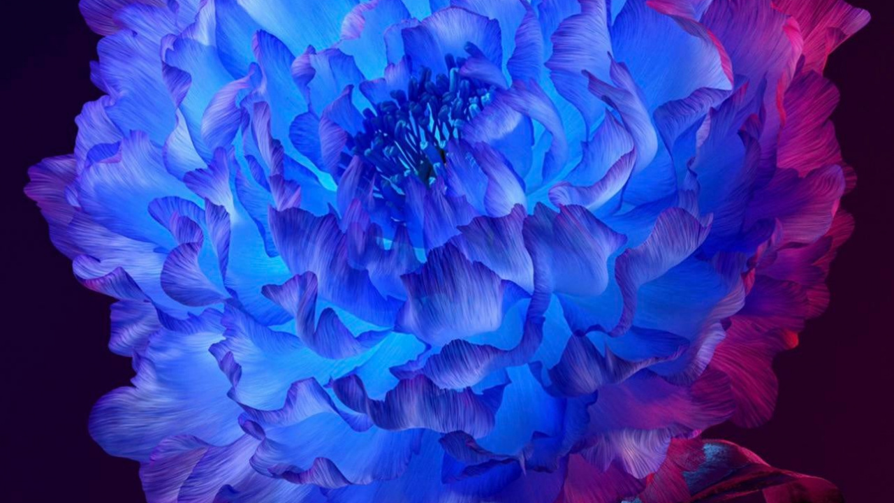 Vivo Origin Os, Origin Os, Android, Flower, Plant. Wallpaper in 1280x720 Resolution