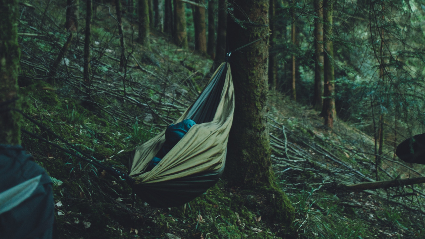 Green and Black Tent in The Middle of The Forest. Wallpaper in 1366x768 Resolution