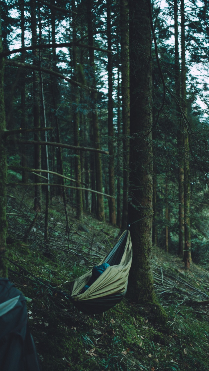 Green and Black Tent in The Middle of The Forest. Wallpaper in 720x1280 Resolution