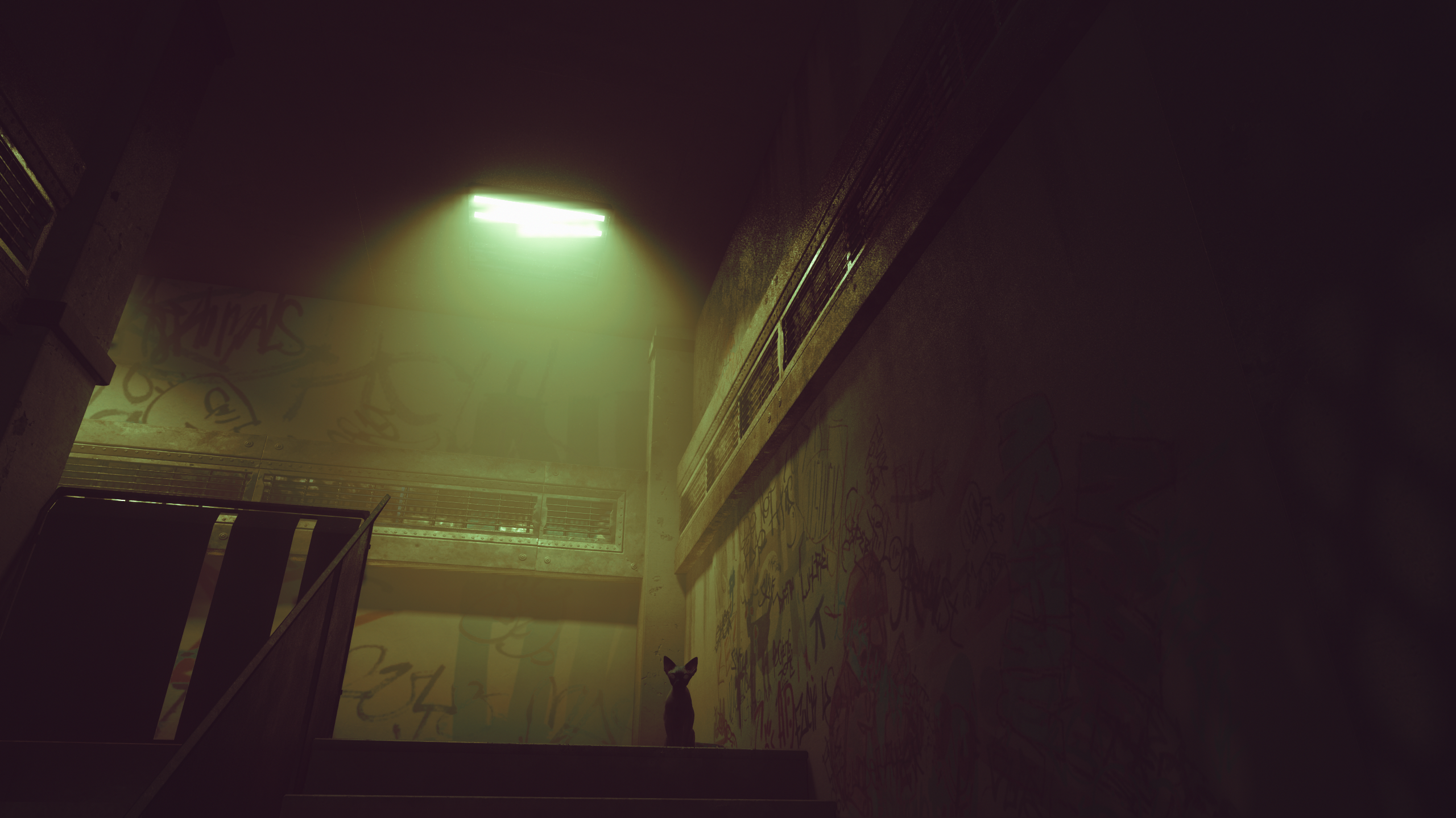 Darkness, Night, Light, Tints and Shades, Stairs. Wallpaper in 2560x1440 Resolution