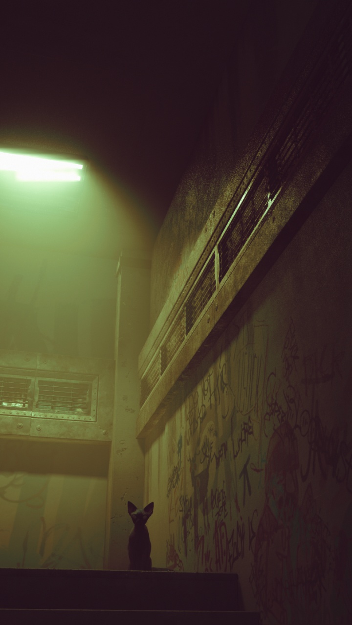 Nacht, Licht, Farbtöne Und Schattierungen, Treppe, Nebel. Wallpaper in 720x1280 Resolution