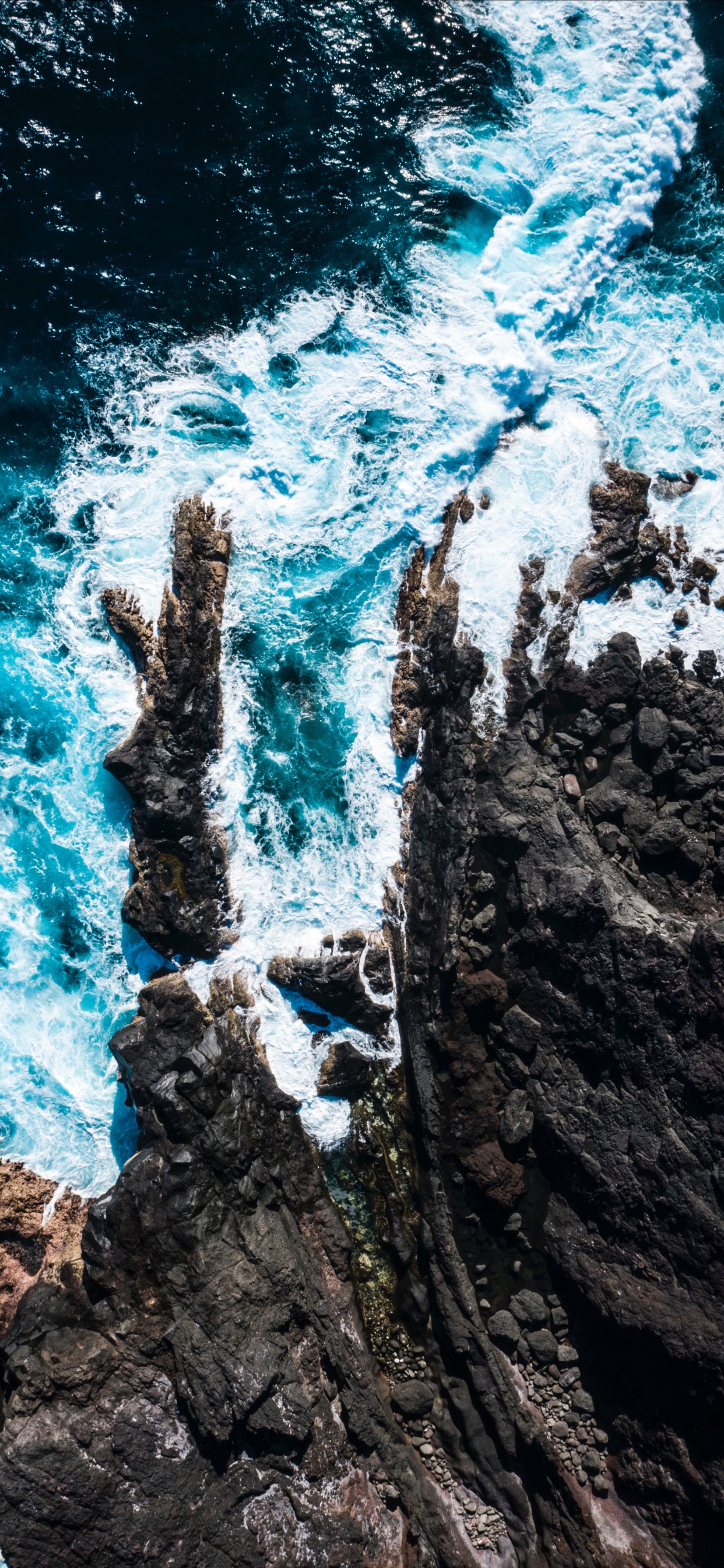 Rock, Mousse, Eau, Turquoise, Terre. Wallpaper in 1242x2688 Resolution