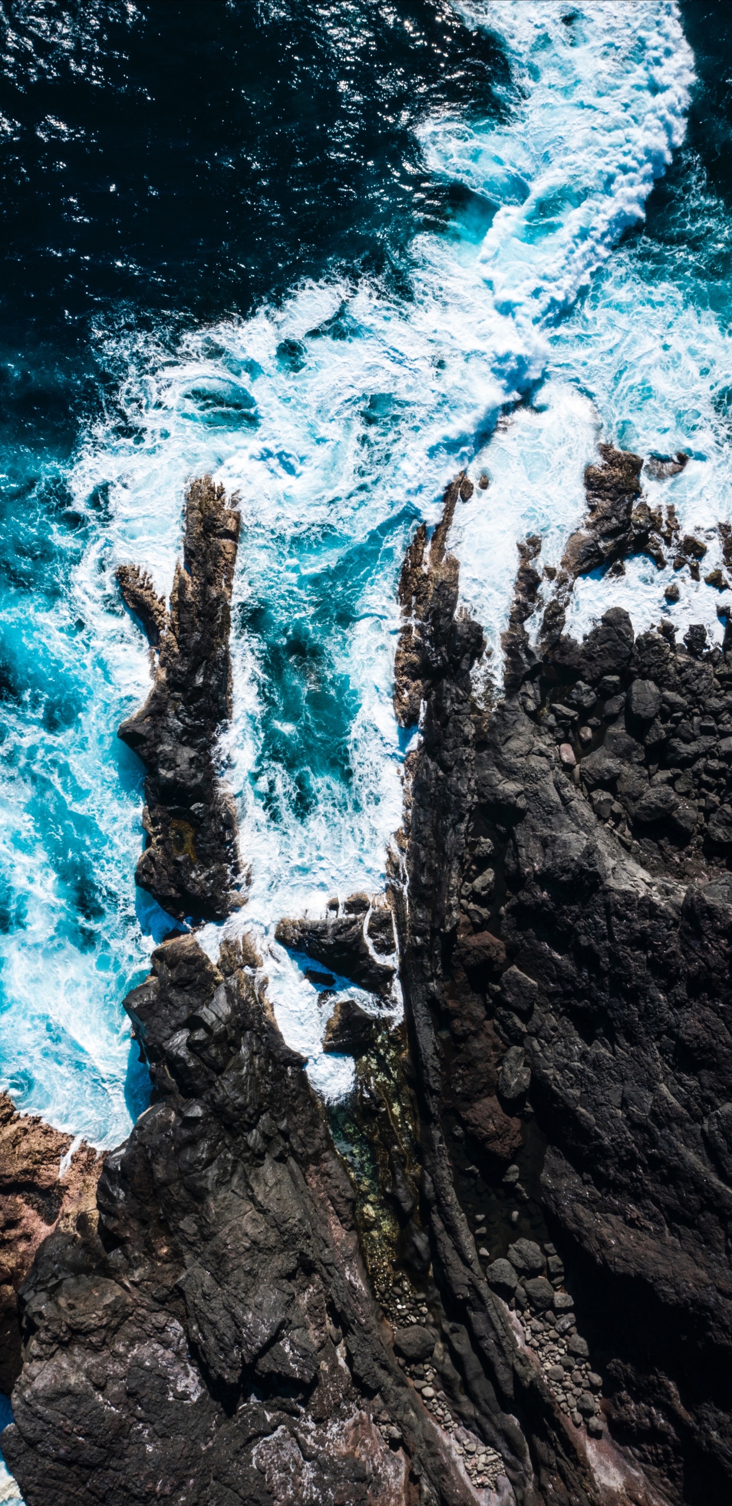 Rock, Mousse, Eau, Turquoise, Terre. Wallpaper in 1440x2960 Resolution