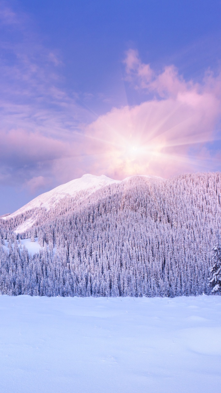 Schneebedeckte Bäume Und Berge Tagsüber. Wallpaper in 720x1280 Resolution