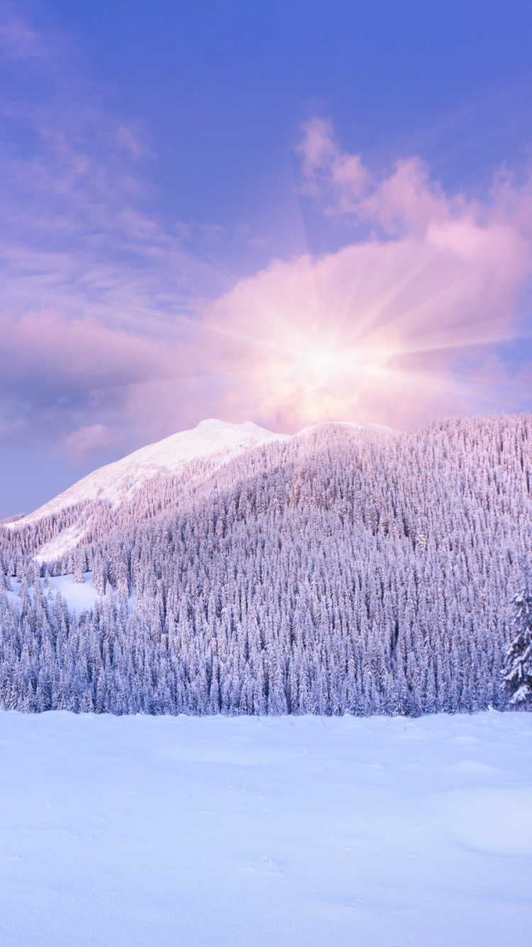 Snow Covered Trees and Mountains During Daytime. Wallpaper in 750x1334 Resolution