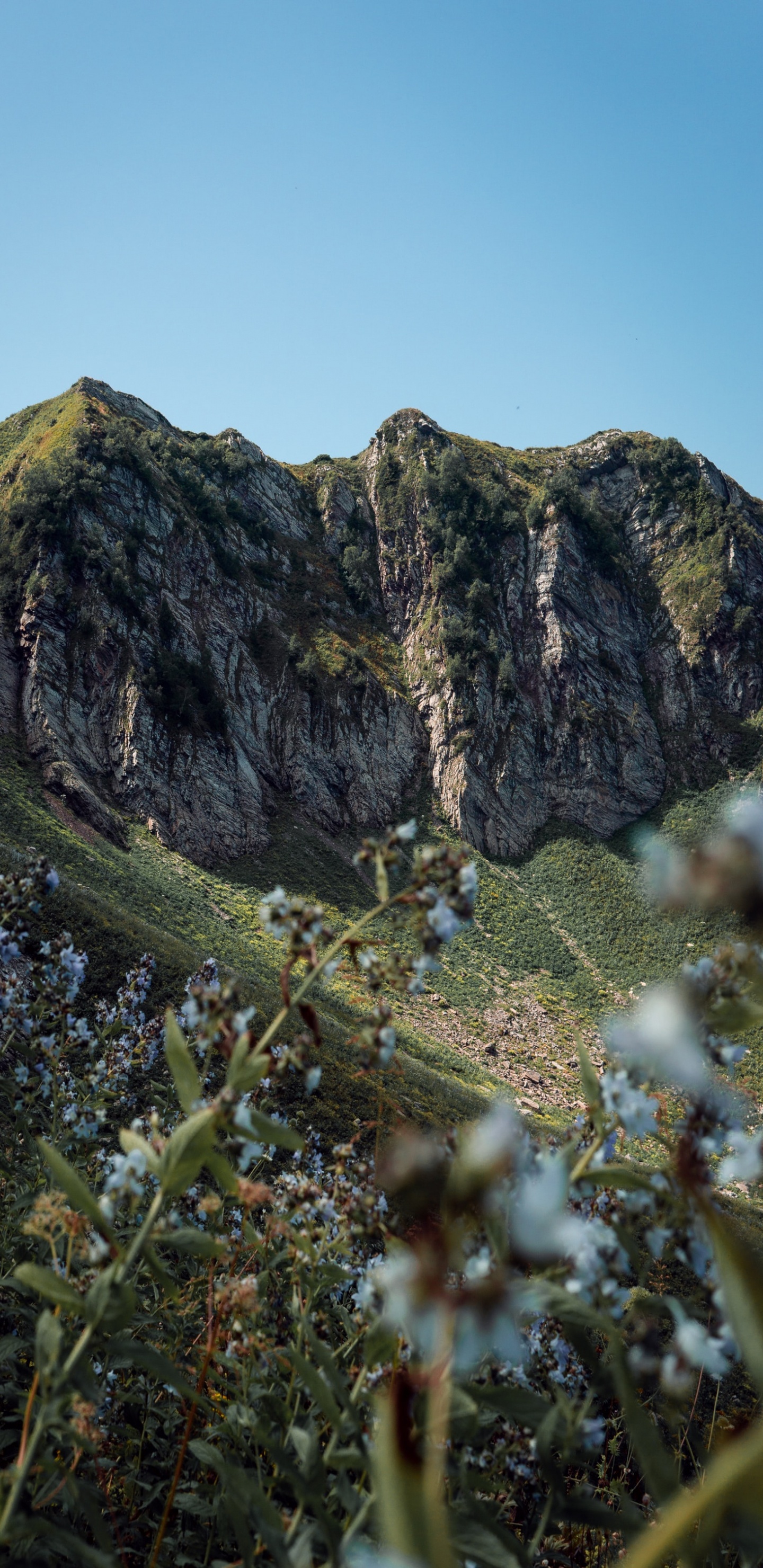 Las Formaciones Montañosas, Geología, Montaña, Afloramiento, Acantilado. Wallpaper in 1440x2960 Resolution