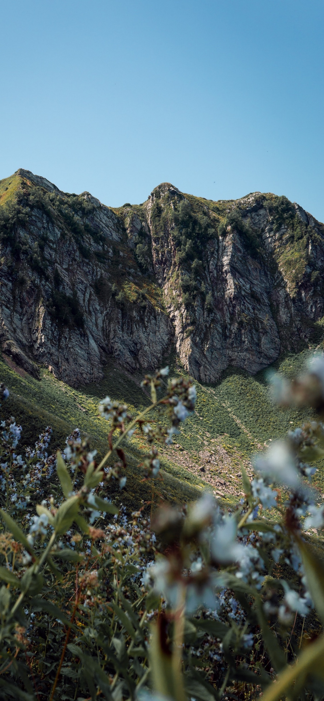 Les Reliefs Montagneux, Géologie, Terrain, Affleurement, Falaise. Wallpaper in 1125x2436 Resolution