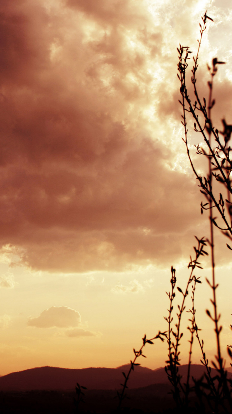 Silhouette de Montagne Sous Ciel Nuageux Pendant le Coucher du Soleil. Wallpaper in 750x1334 Resolution