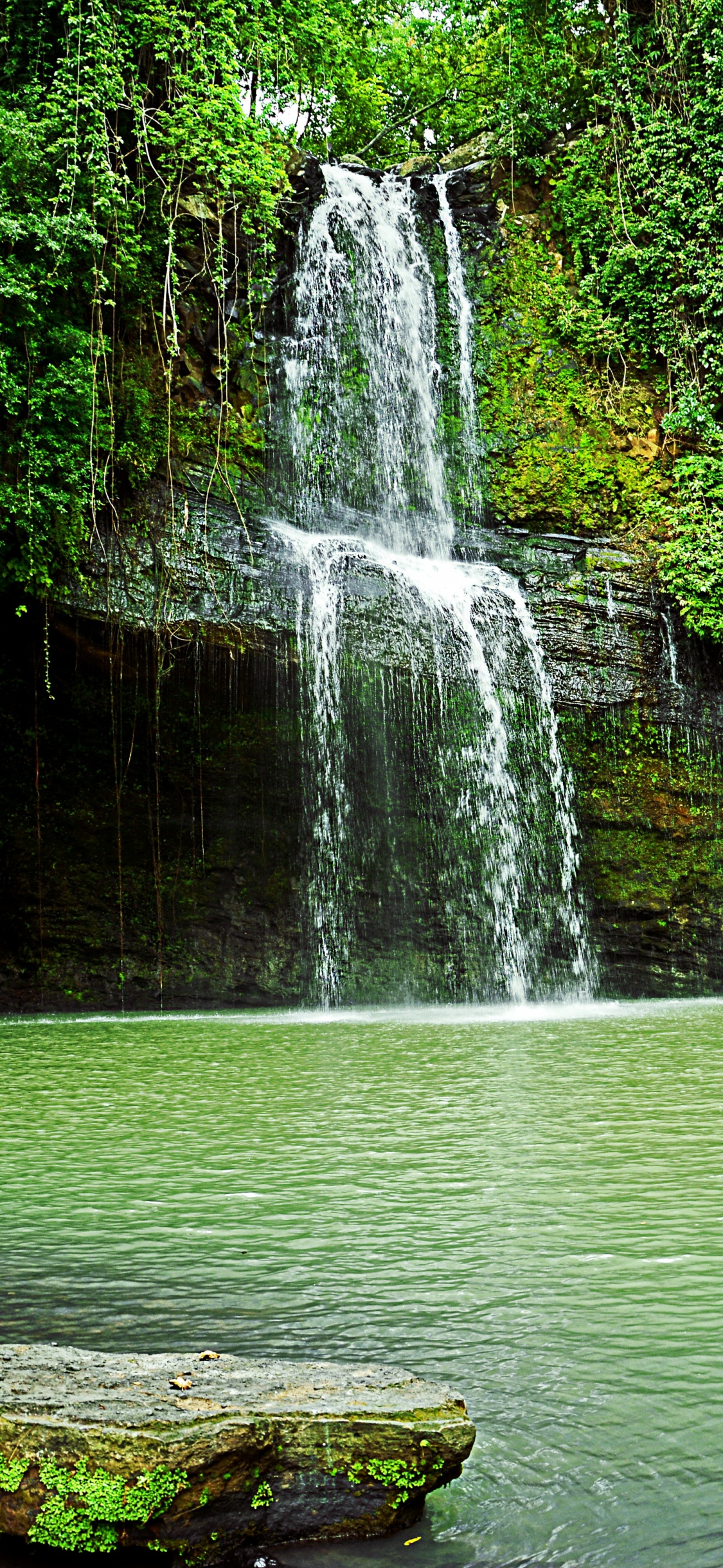 水资源, 人体内的水, 性质, 绿色的, 自然保护区 壁纸 1125x2436 允许