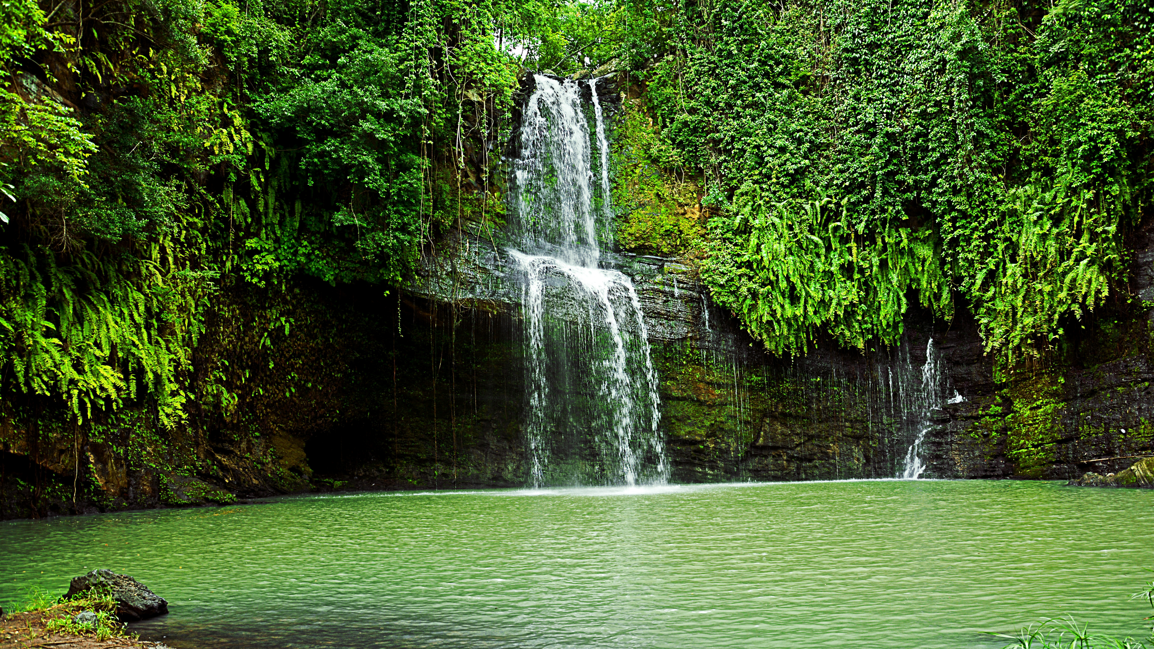 水资源, 人体内的水, 性质, 绿色的, 自然保护区 壁纸 3840x2160 允许