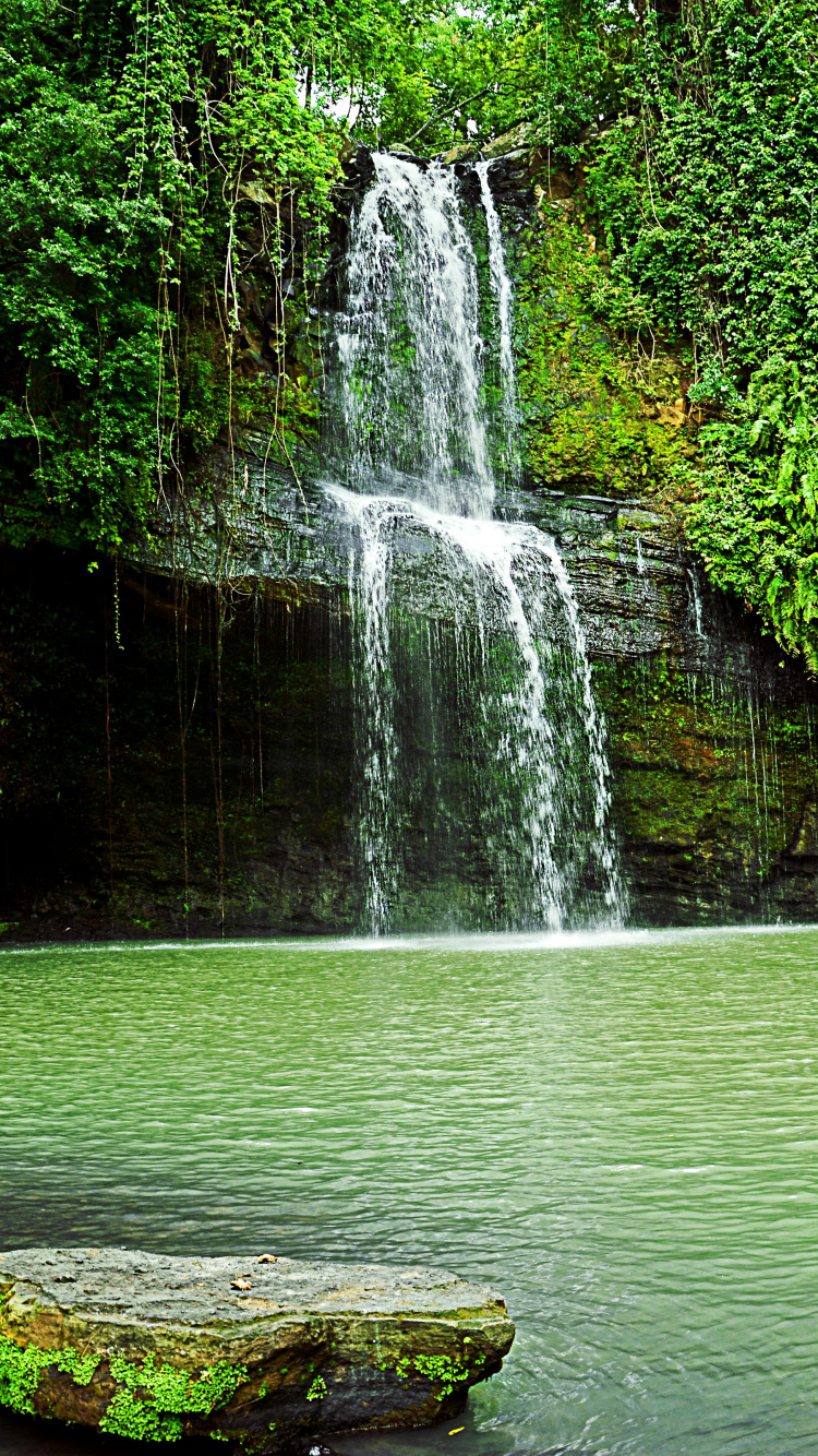 水资源, 人体内的水, 性质, 绿色的, 自然保护区 壁纸 750x1334 允许