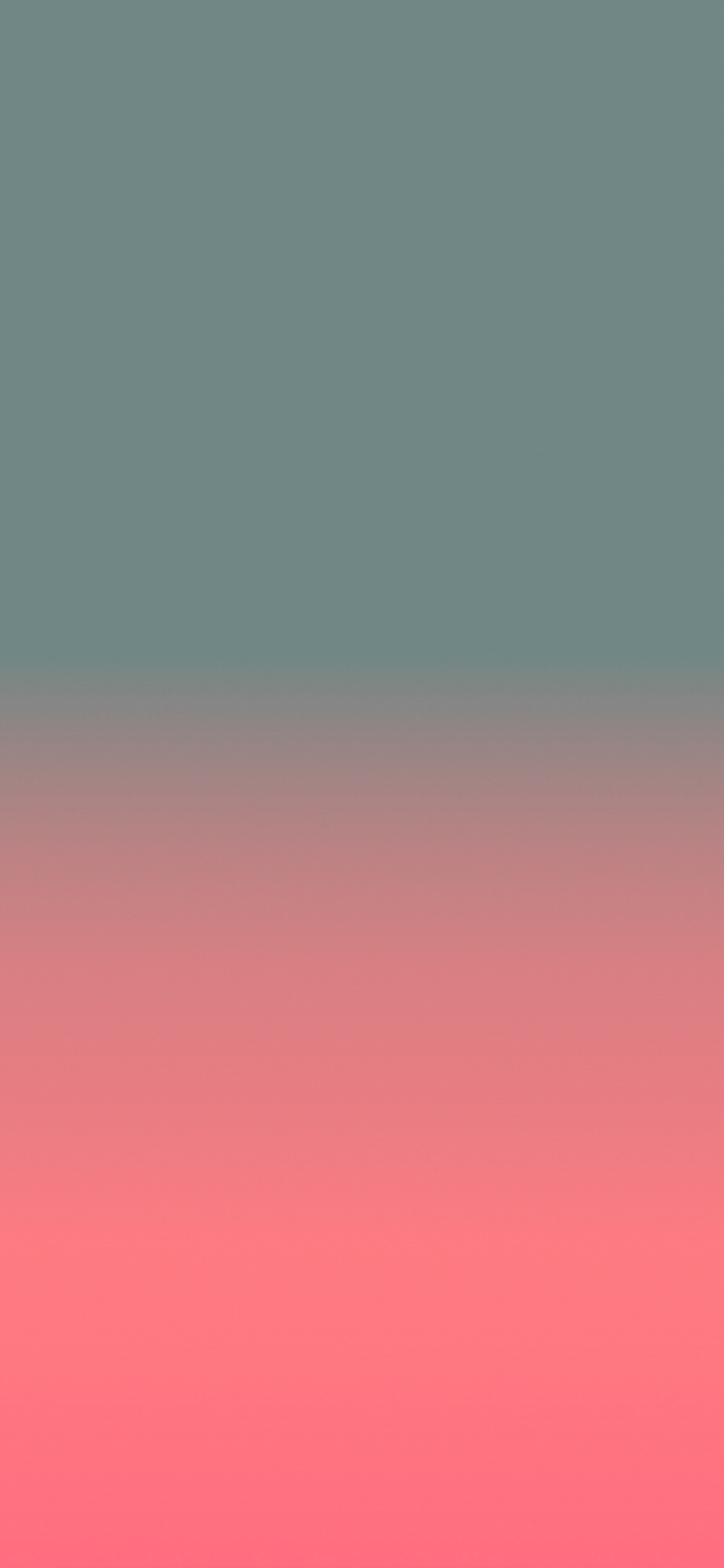 Brown, Purple, Violette, de Teintes et de Nuances, Magenta. Wallpaper in 1242x2688 Resolution