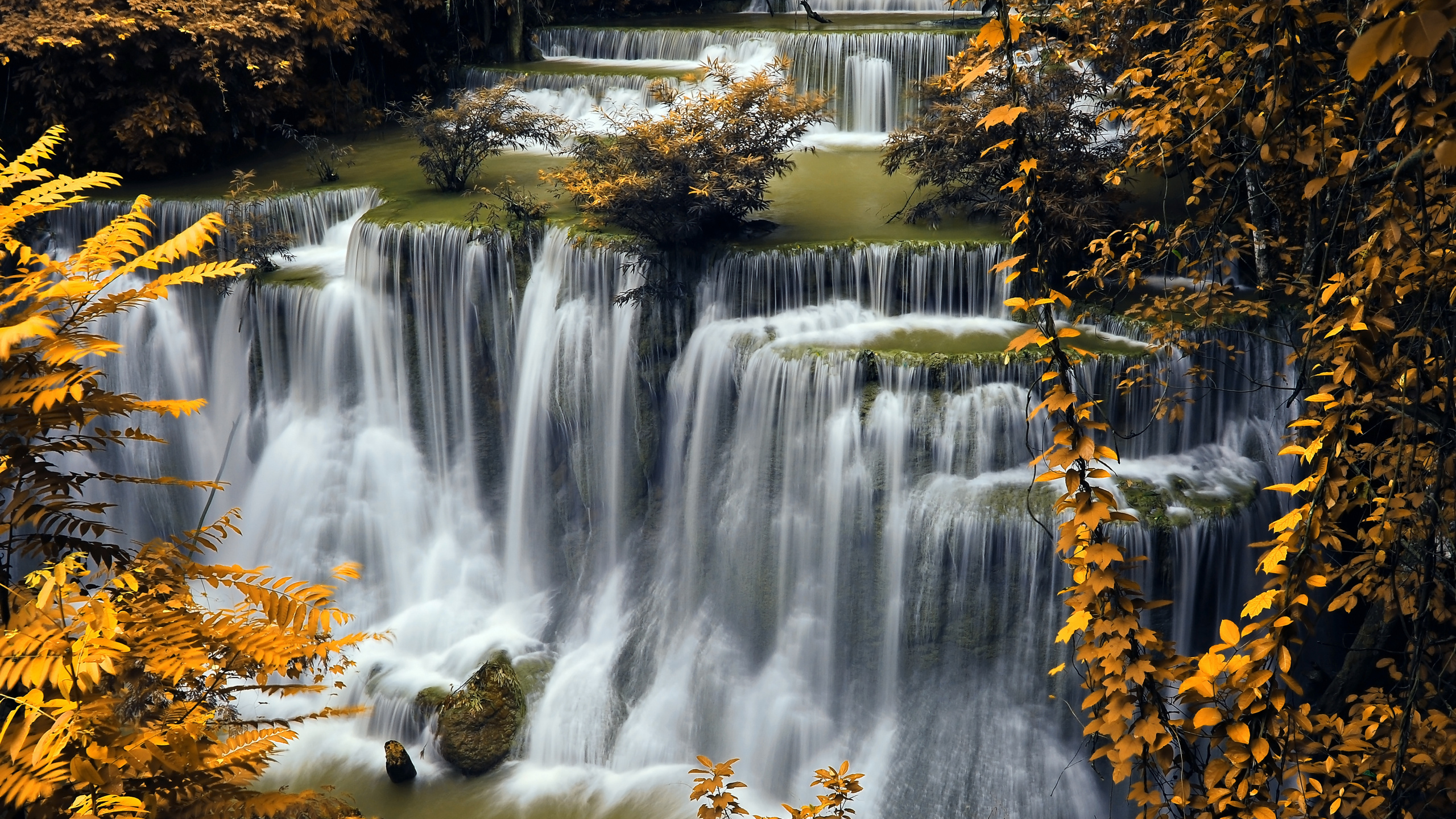 Water Falls in The Middle of The Forest. Wallpaper in 2560x1440 Resolution