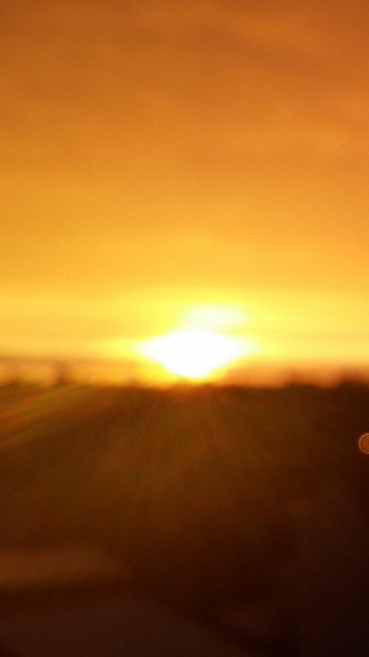 Silueta de Árboles Durante la Puesta de Sol. Wallpaper in 720x1280 Resolution