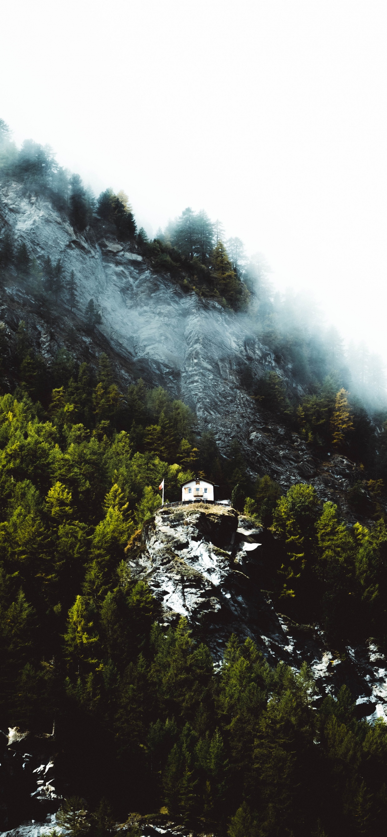 Cloud, Behance, Himmel, Vegetation, Volkswagen. Wallpaper in 1242x2688 Resolution