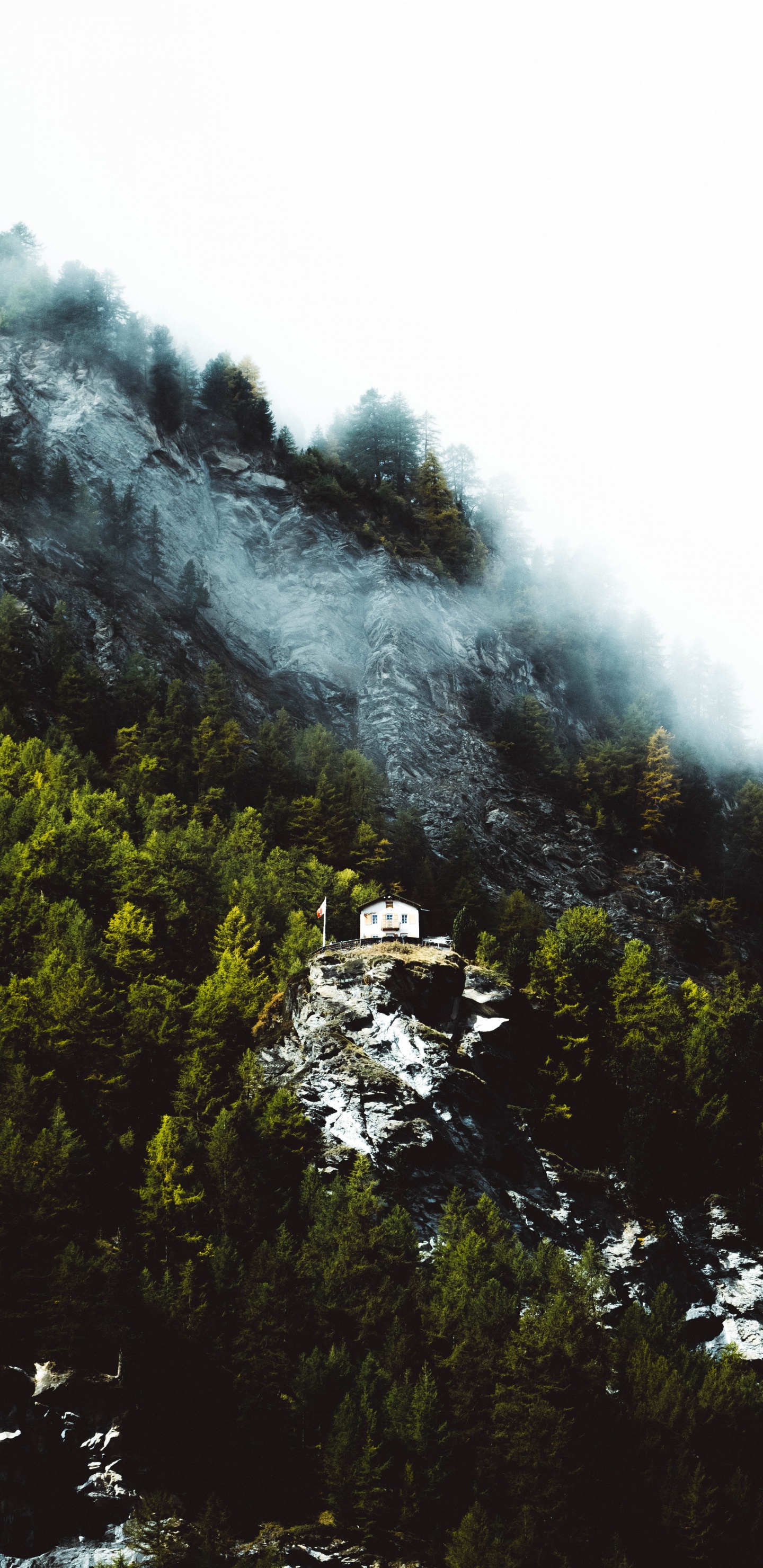 Cloud, Behance, Himmel, Vegetation, Volkswagen. Wallpaper in 1440x2960 Resolution