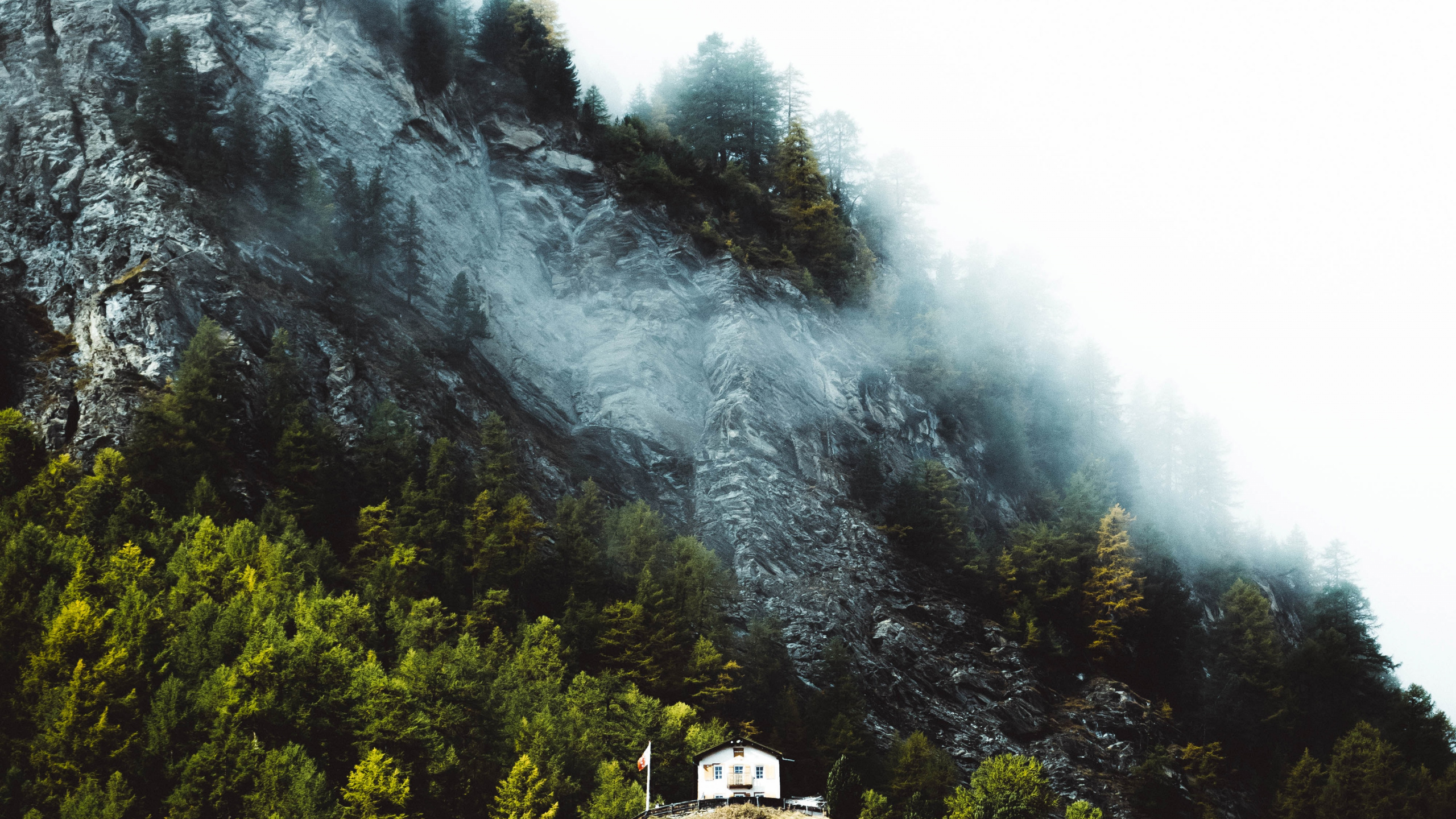 Cloud, Behance, Himmel, Vegetation, Volkswagen. Wallpaper in 2560x1440 Resolution