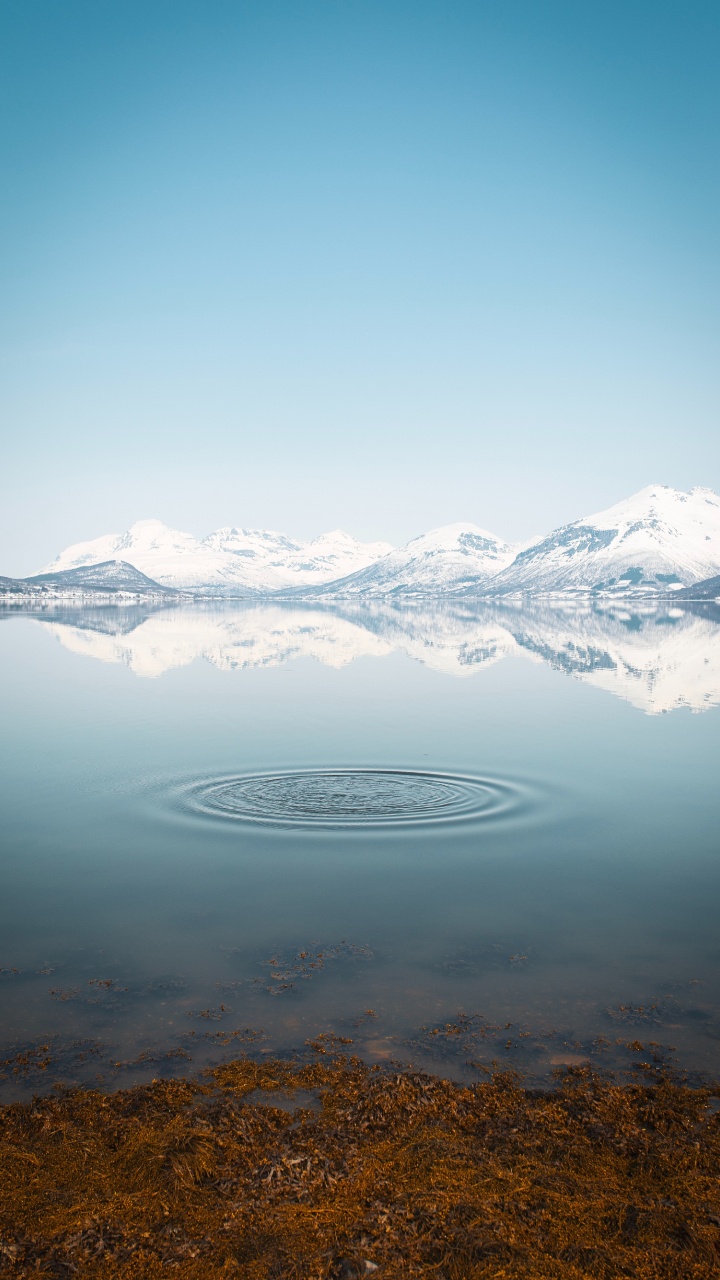 多山的地貌, 山脉, 高地, 跌倒了, 阿尔卑斯山 壁纸 720x1280 允许