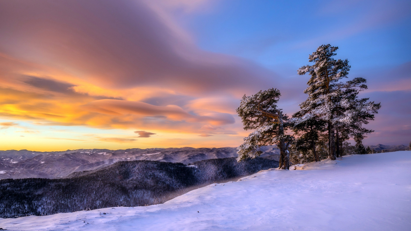Schneebedeckte Bäume Und Berge Bei Sonnenuntergang. Wallpaper in 1366x768 Resolution