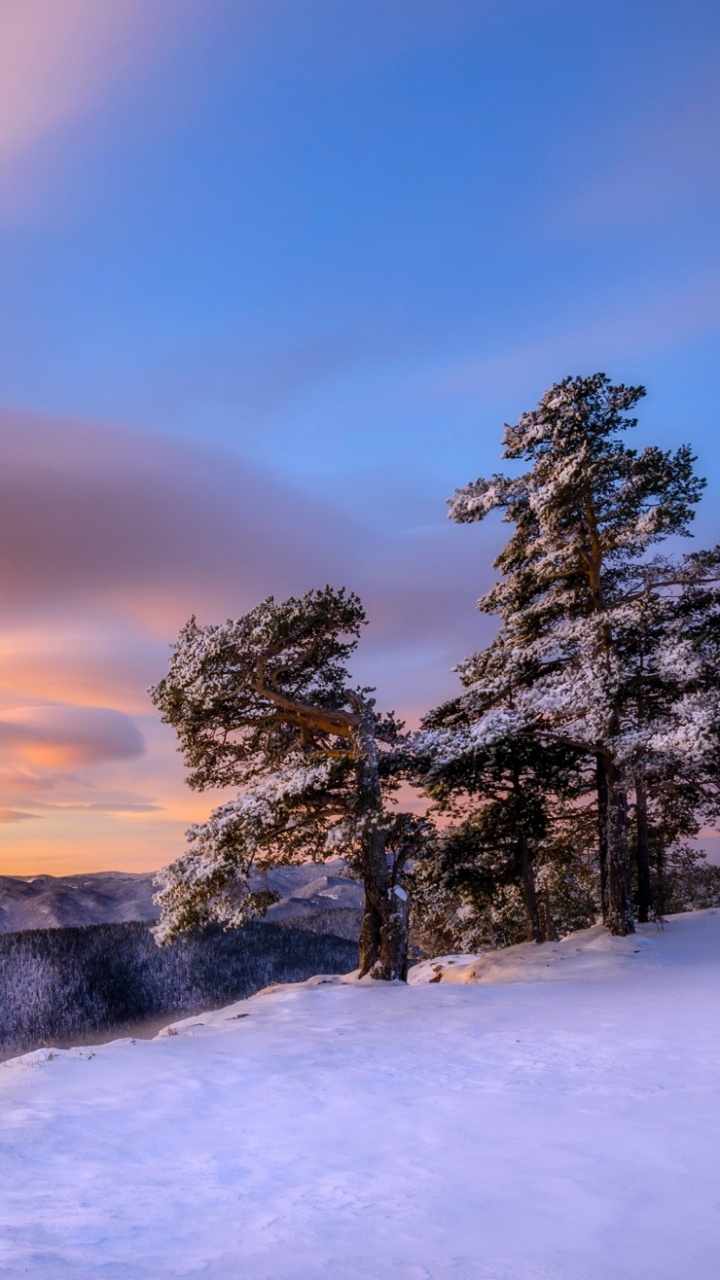 Schneebedeckte Bäume Und Berge Bei Sonnenuntergang. Wallpaper in 720x1280 Resolution