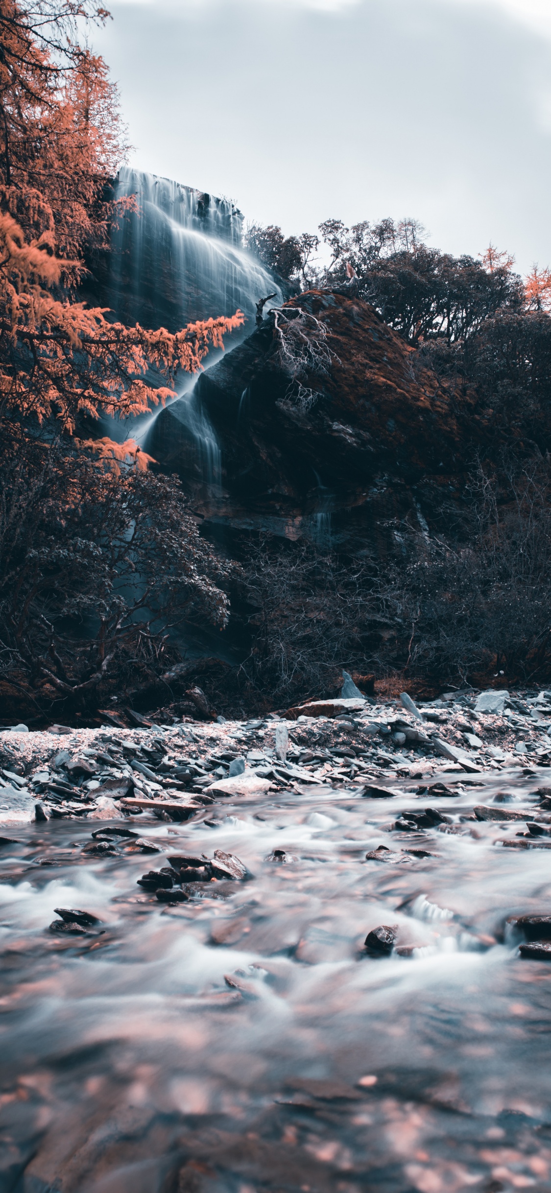 Wasser Fällt im Wald. Wallpaper in 1125x2436 Resolution