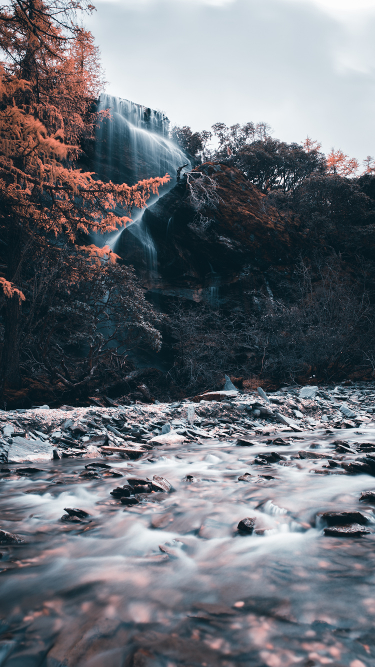 Water Falls in The Forest. Wallpaper in 750x1334 Resolution