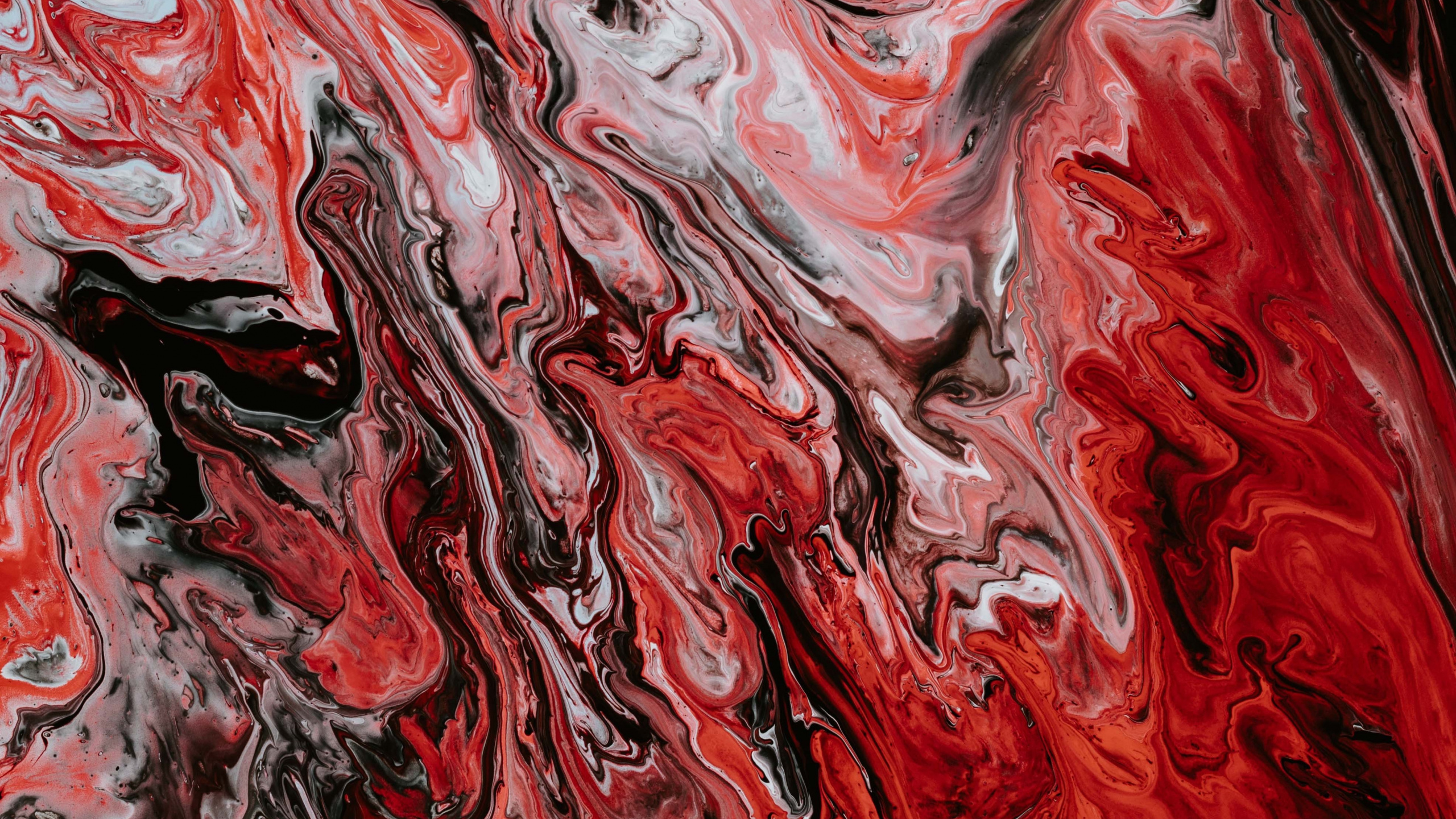 Red White and Black Abstract Painting. Wallpaper in 2560x1440 Resolution