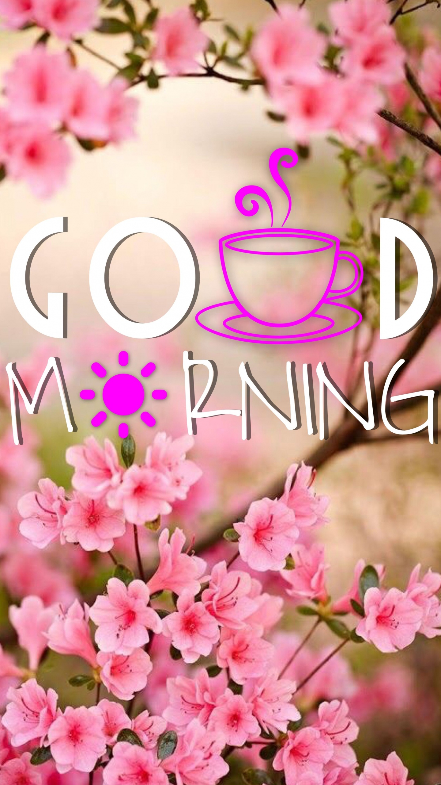 Text. Wallpaper in 1440x2560 Resolution